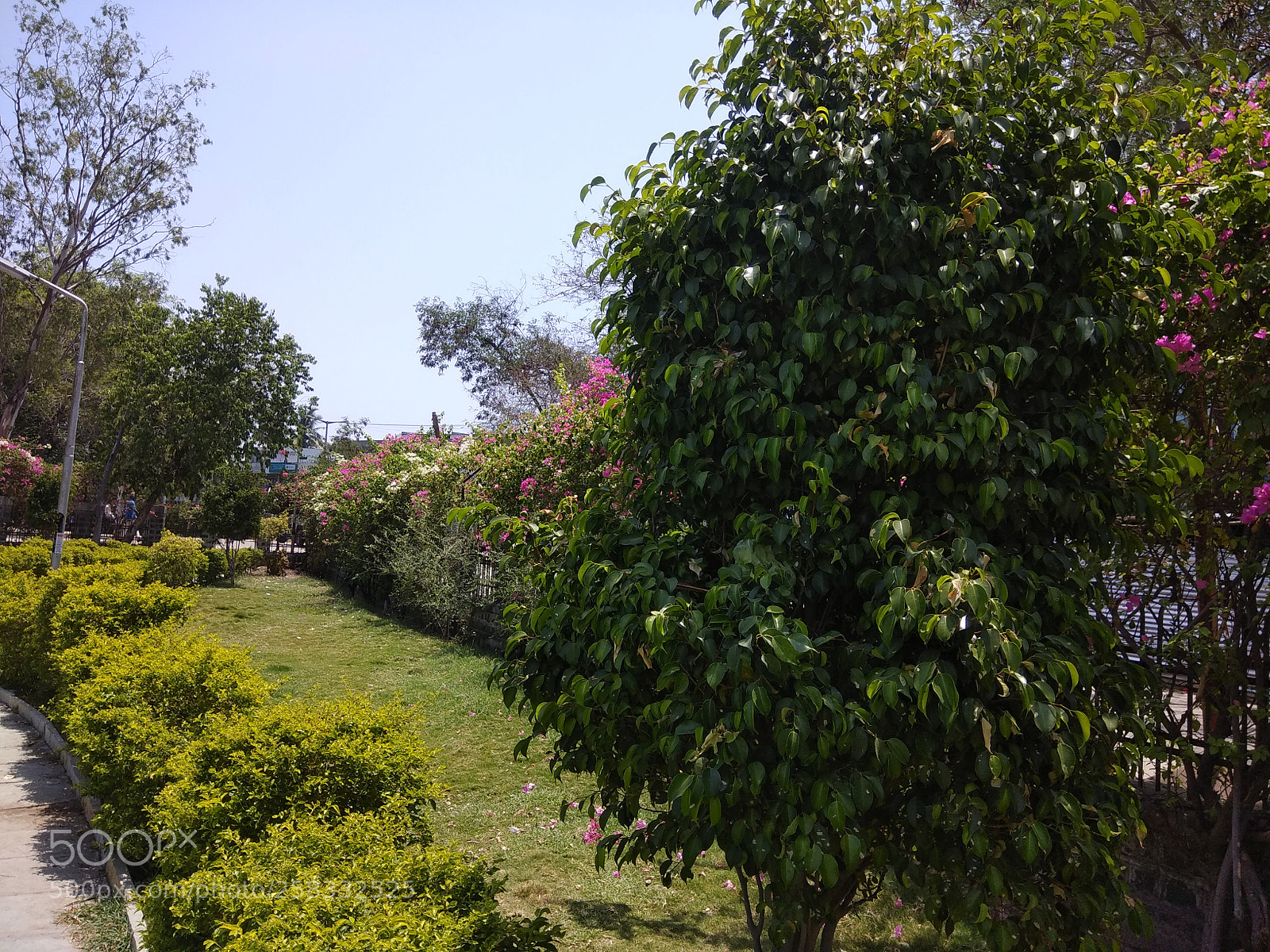 Xiaomi Redmi Note 4 sample photo. Untitled photography
