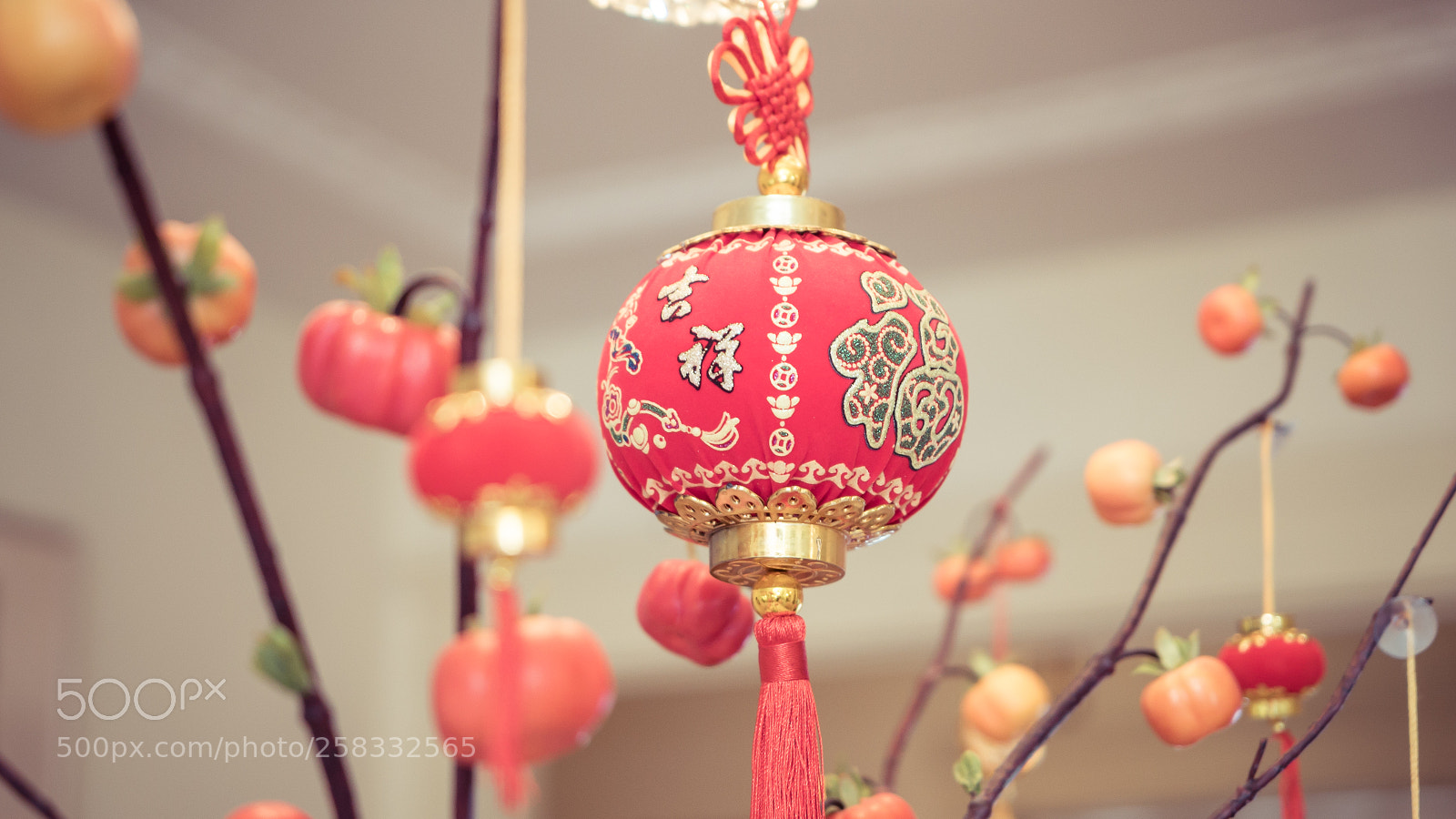Sony a7S II sample photo. Dsc photography