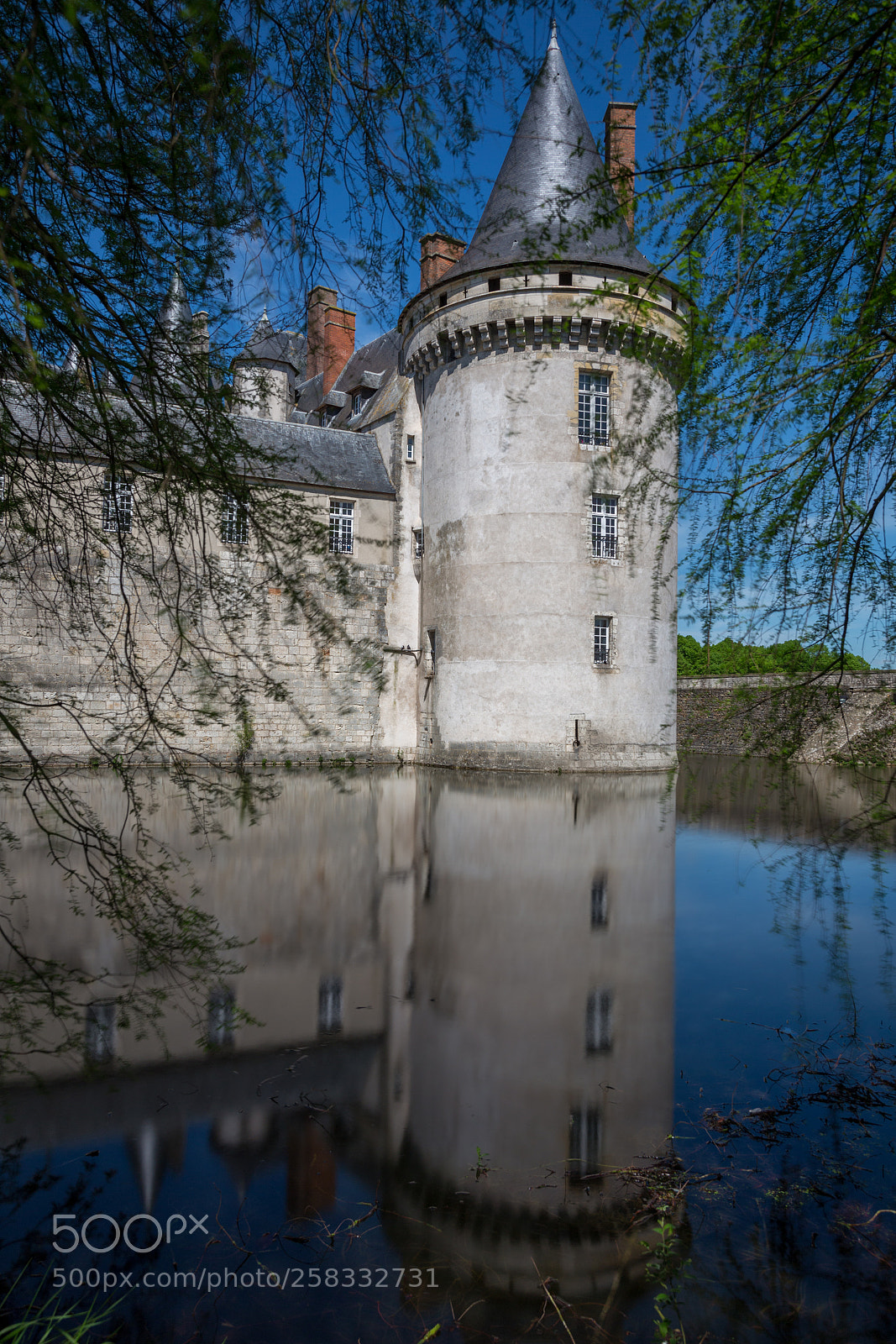 Canon EOS 6D sample photo. Château de sully-sur-loire photography