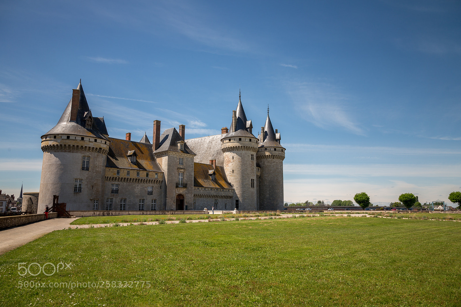 Canon EOS 6D sample photo. Château de sully-sur-loire photography