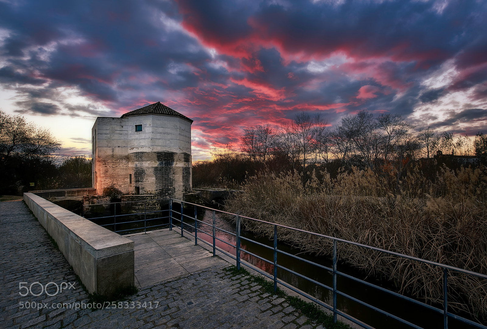 Nikon D810 sample photo. Cuando el rojo arde... photography