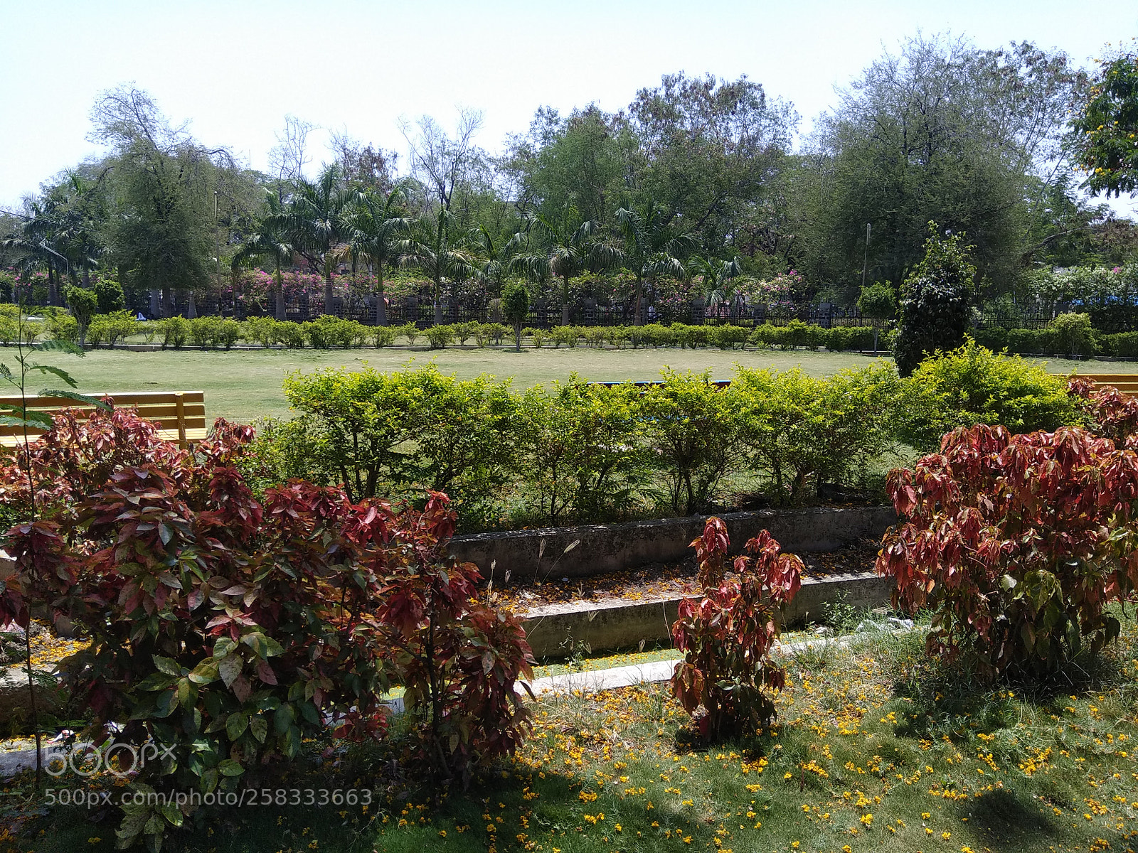 Xiaomi Redmi Note 4 sample photo. Untitled photography