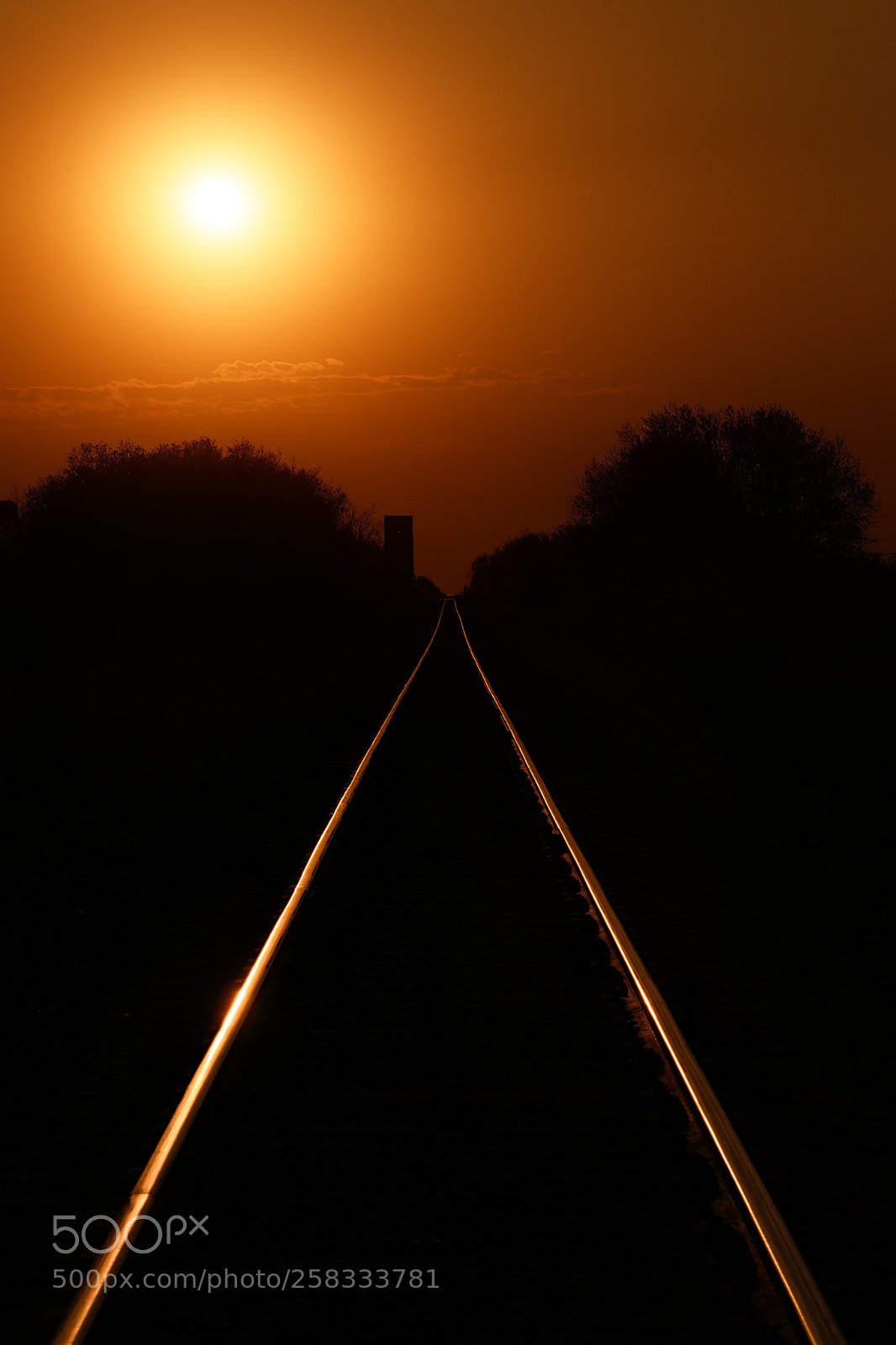 Nikon D850 sample photo. On track... photography