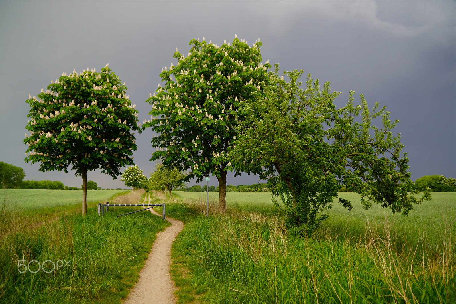 Sony DT 18-200mm F3.5-6.3 sample photo. Raus in die natur ;-) photography