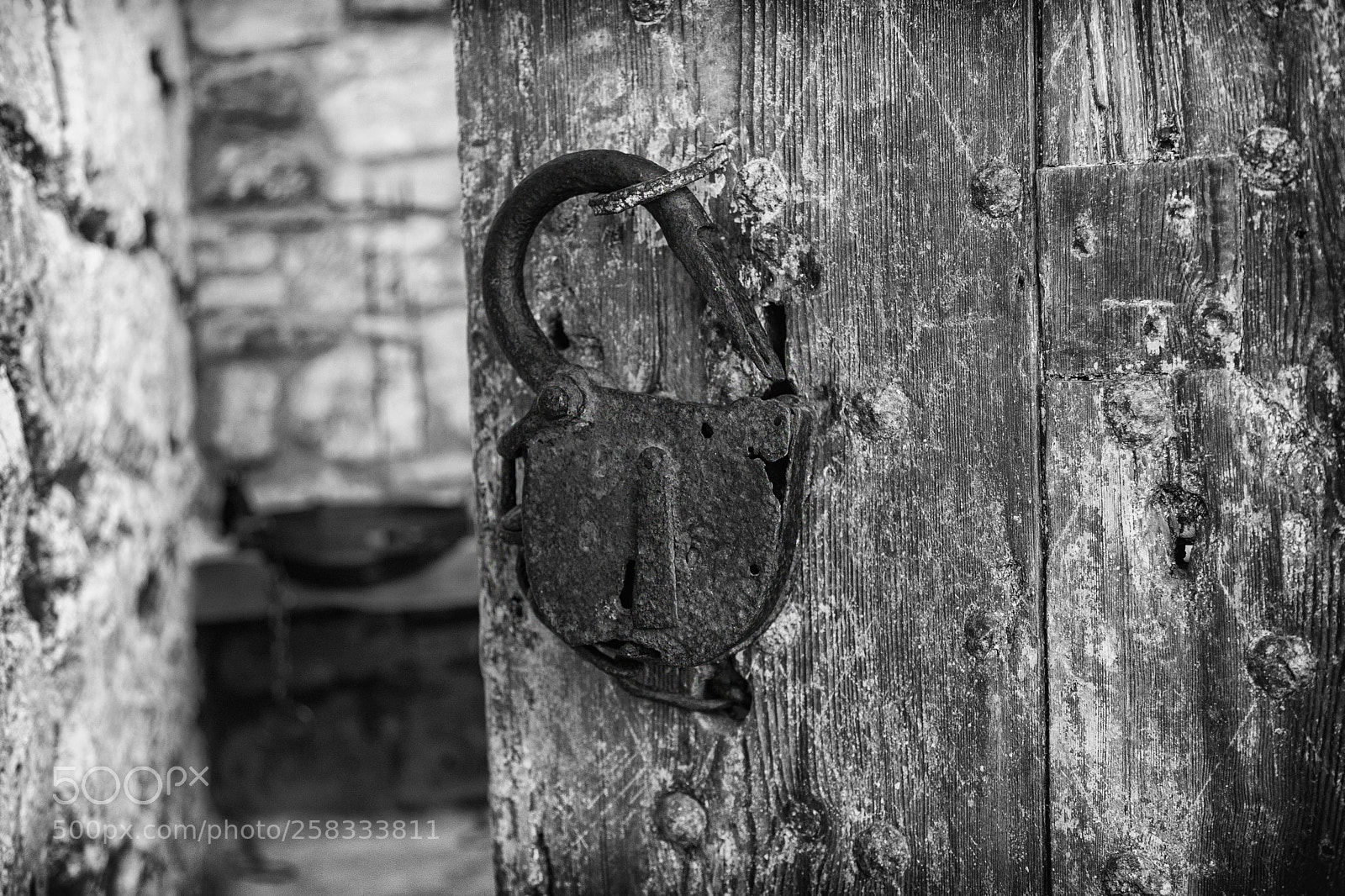 Canon EOS 5D Mark II sample photo. Been gone a long photography