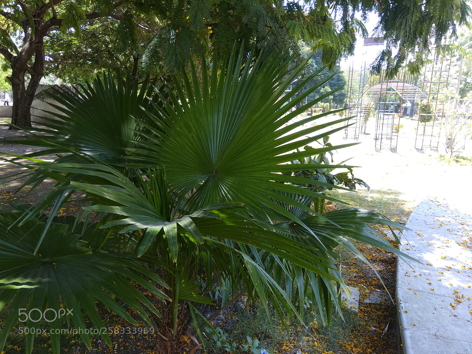 Xiaomi Redmi Note 4 sample photo. Untitled photography