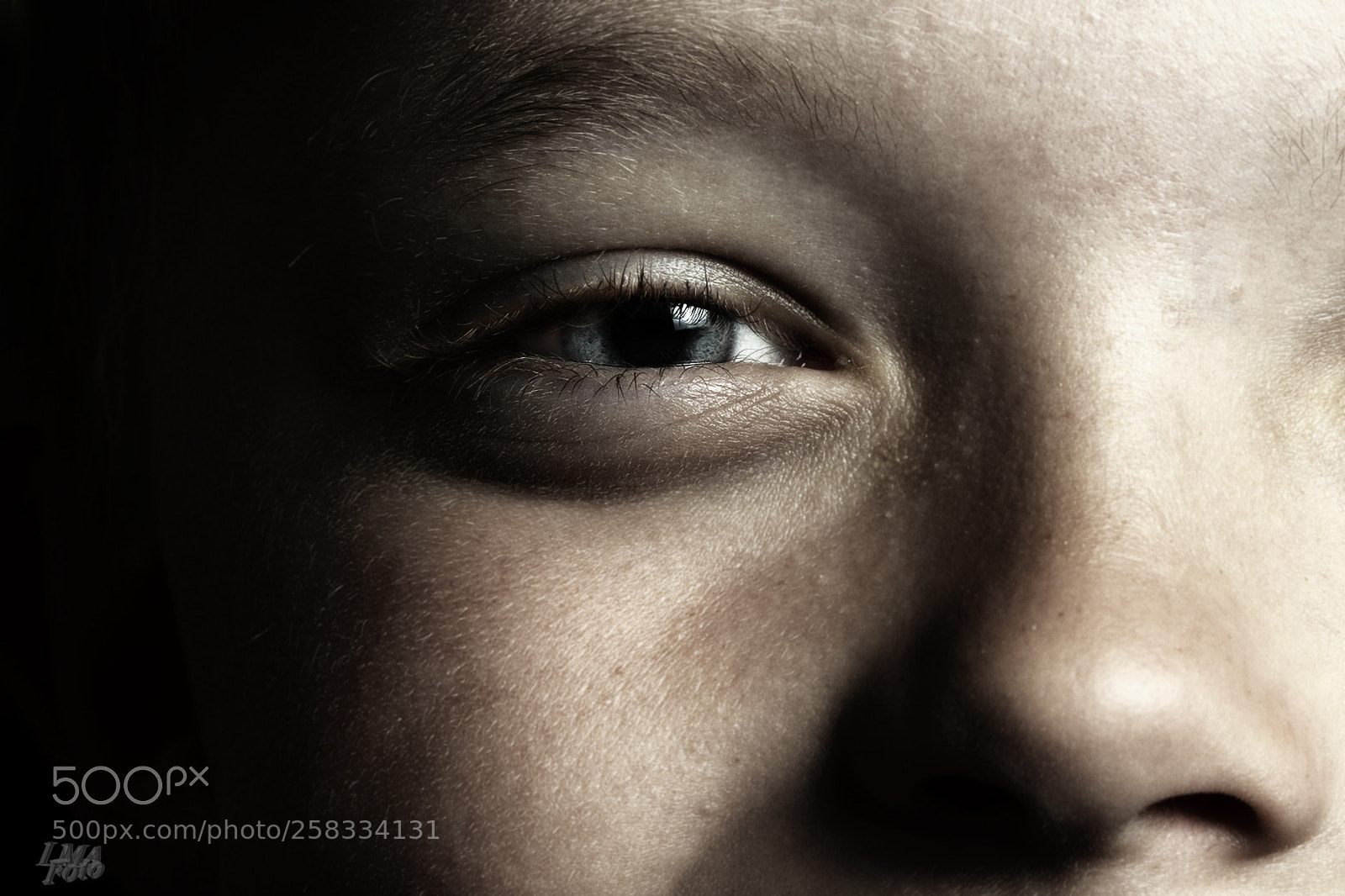 Nikon D500 sample photo. The eye photography