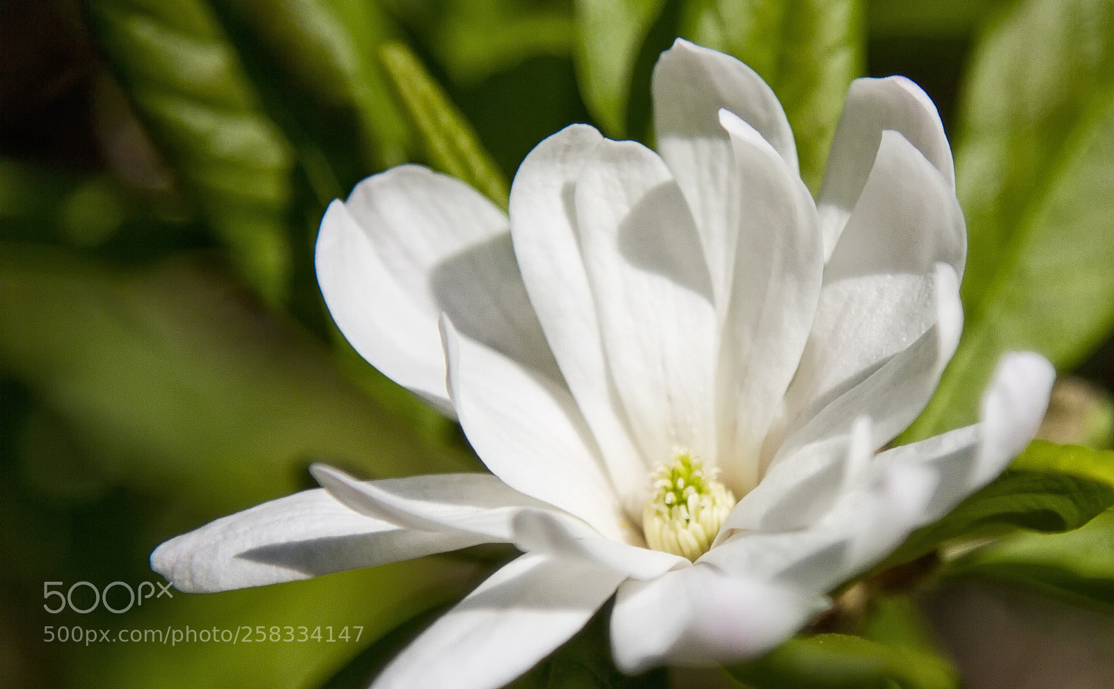 Canon EOS 7D sample photo. 029.jpg photography