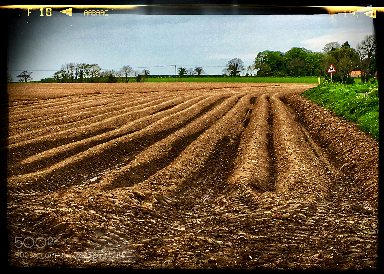 Apple iPhone SE sample photo. Ploughed lines photography