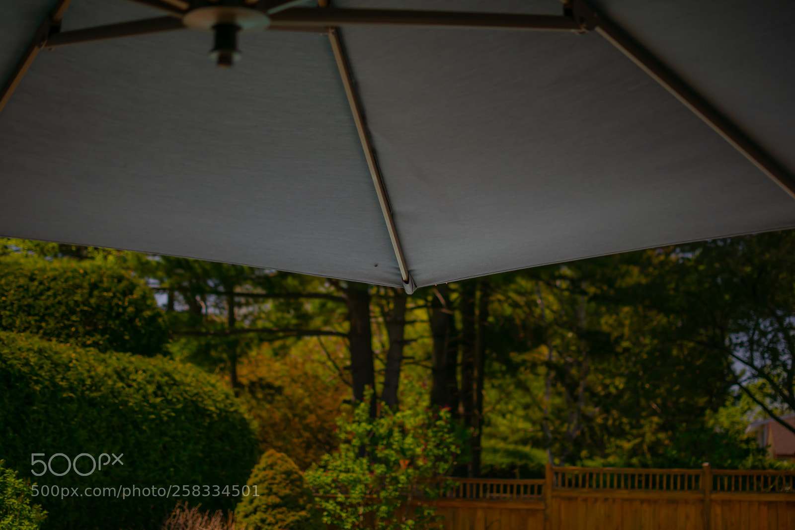 Nikon D5300 sample photo. Untitled photography