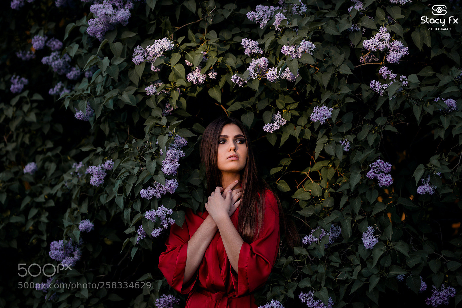 Nikon D800 sample photo. Lilac girl ii photography