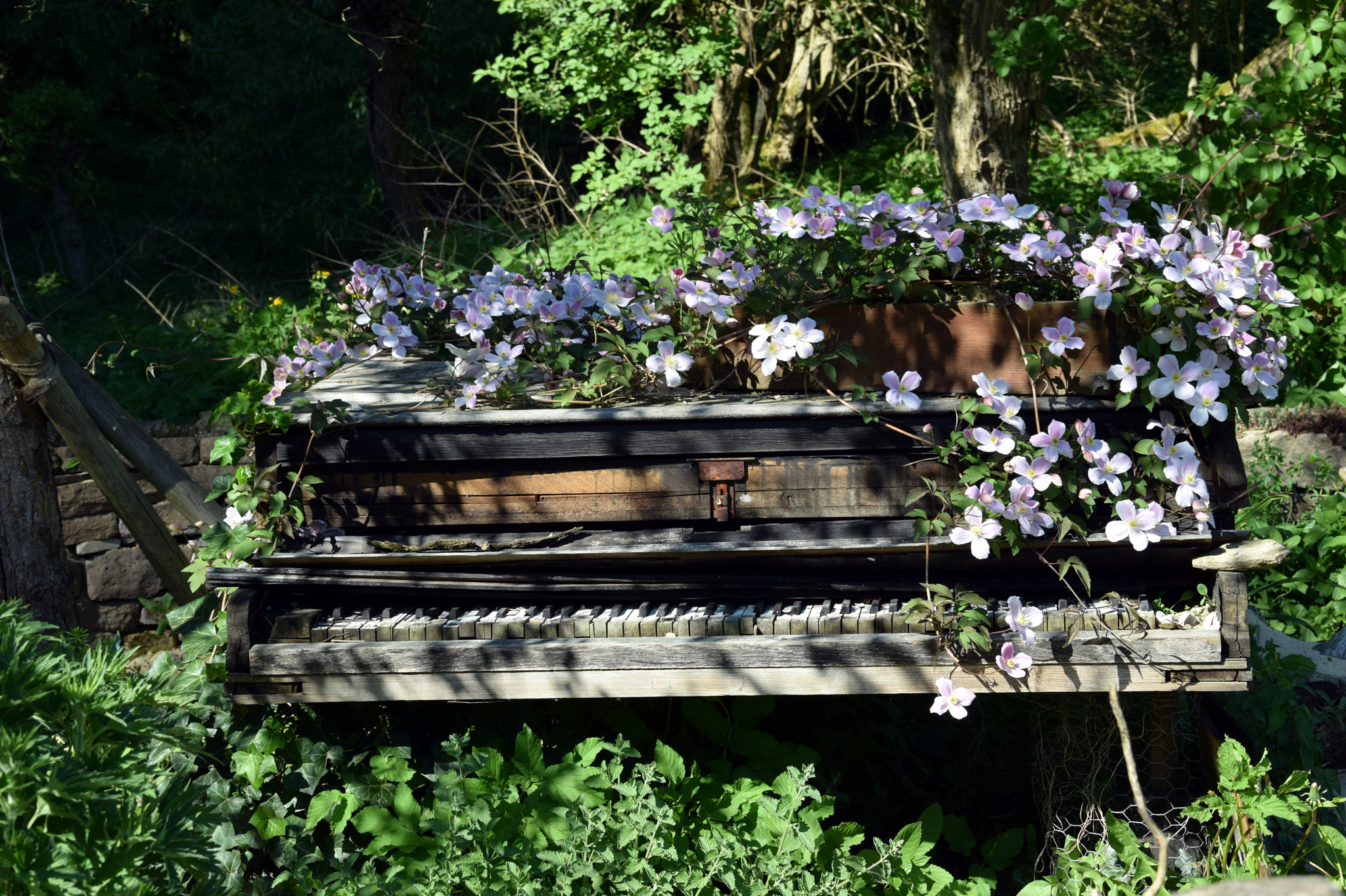 Nikon D5300 sample photo. Forgotten piano photography