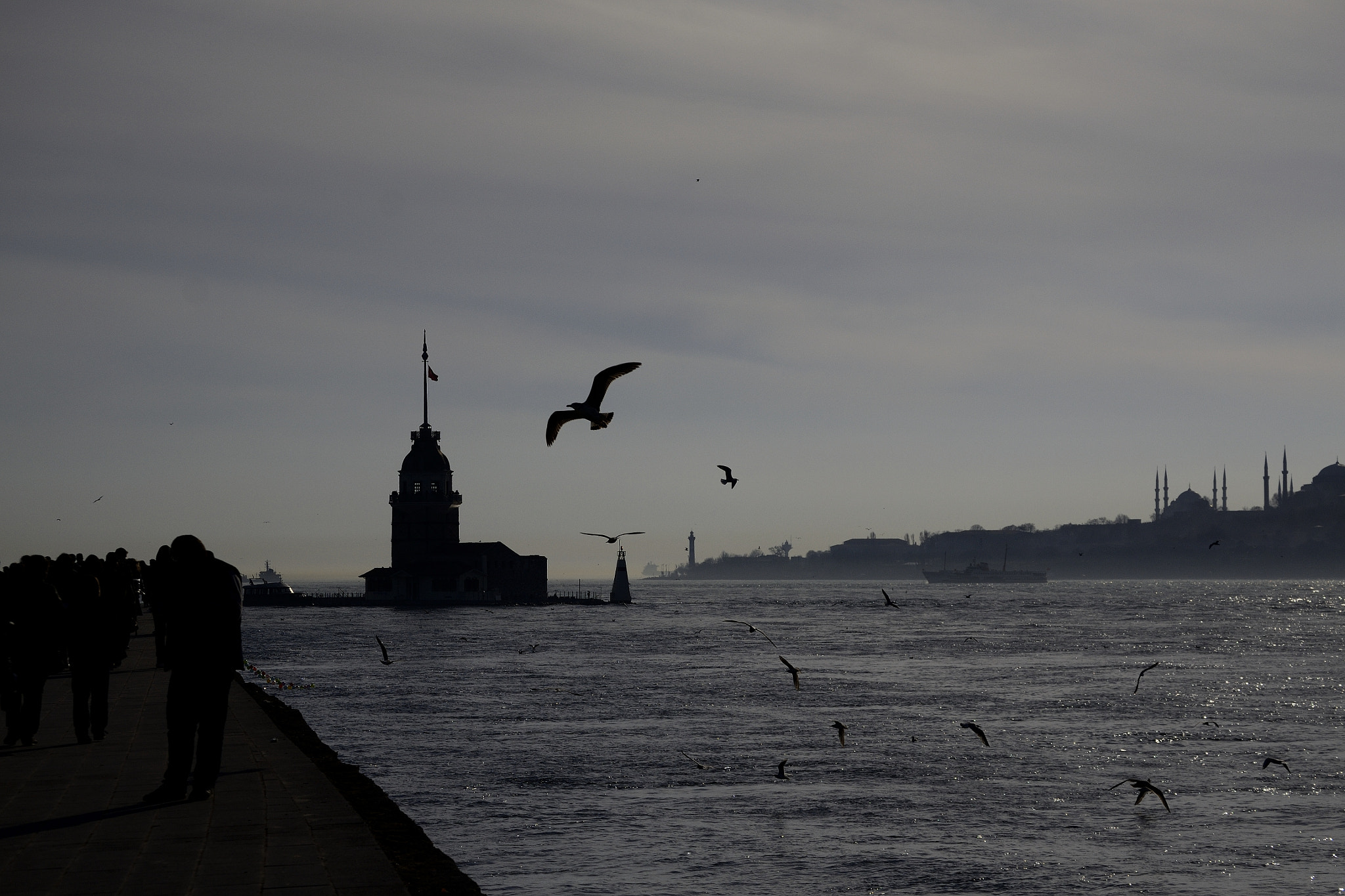 Nikon D3100 sample photo. Silüet photography