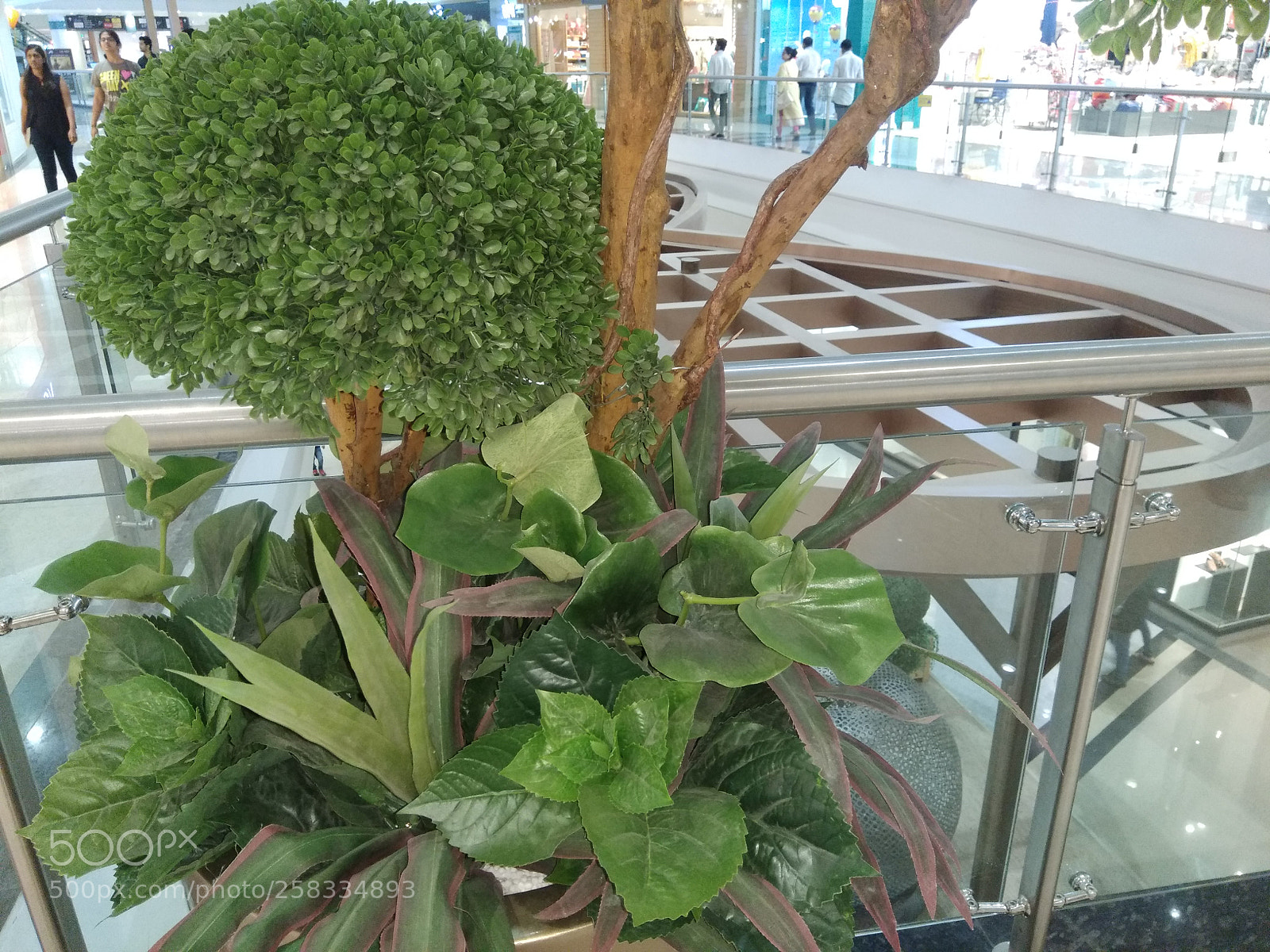 Xiaomi Redmi Note 4 sample photo. Untitled photography