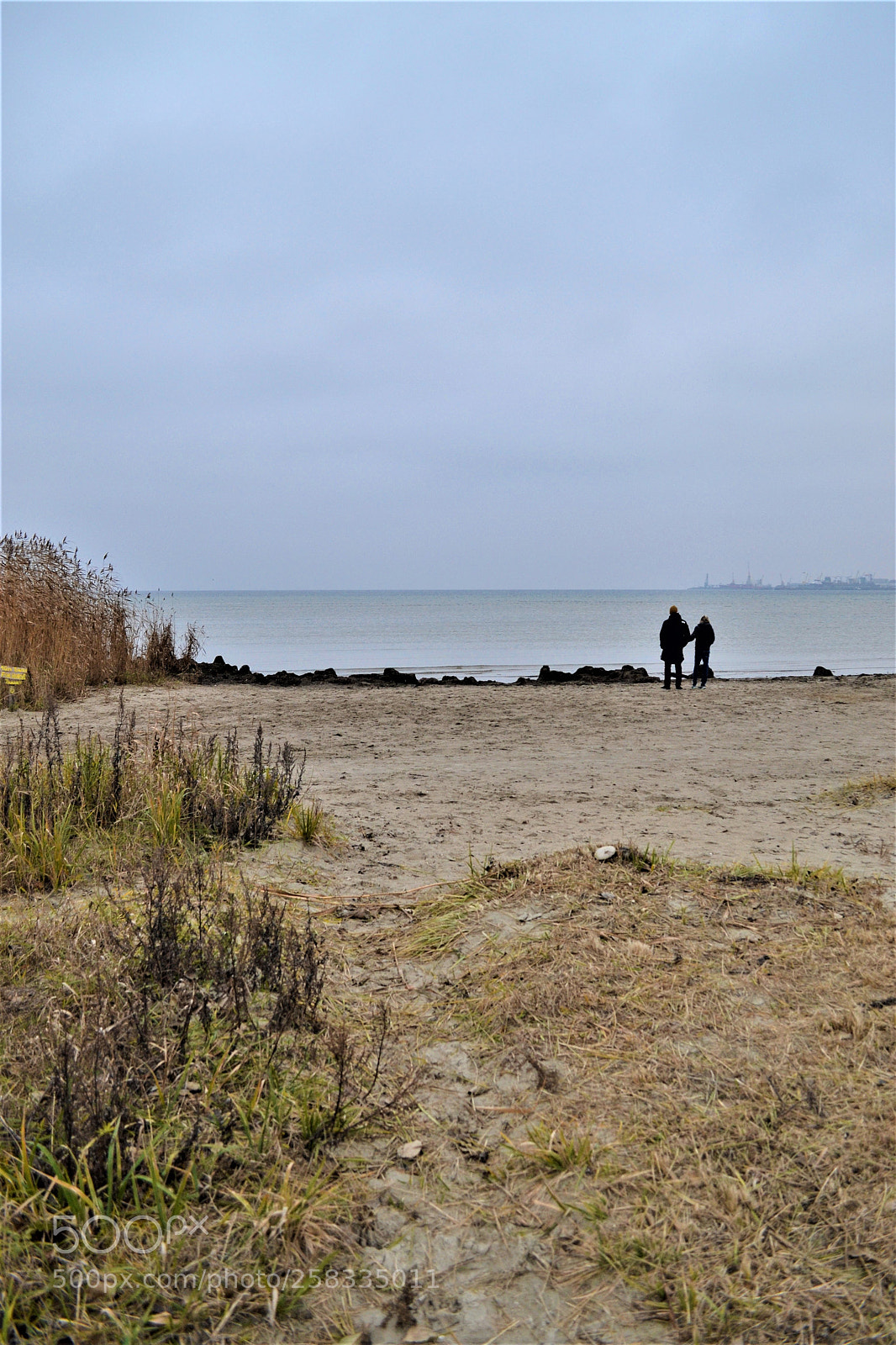 Nikon D3100 sample photo. Something simple photography