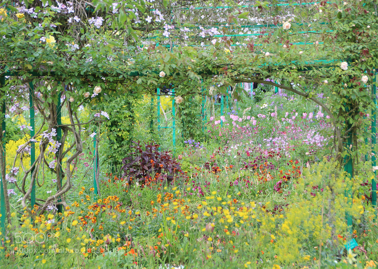 Canon EOS 600D (Rebel EOS T3i / EOS Kiss X5) sample photo. Jardin de claude monet photography