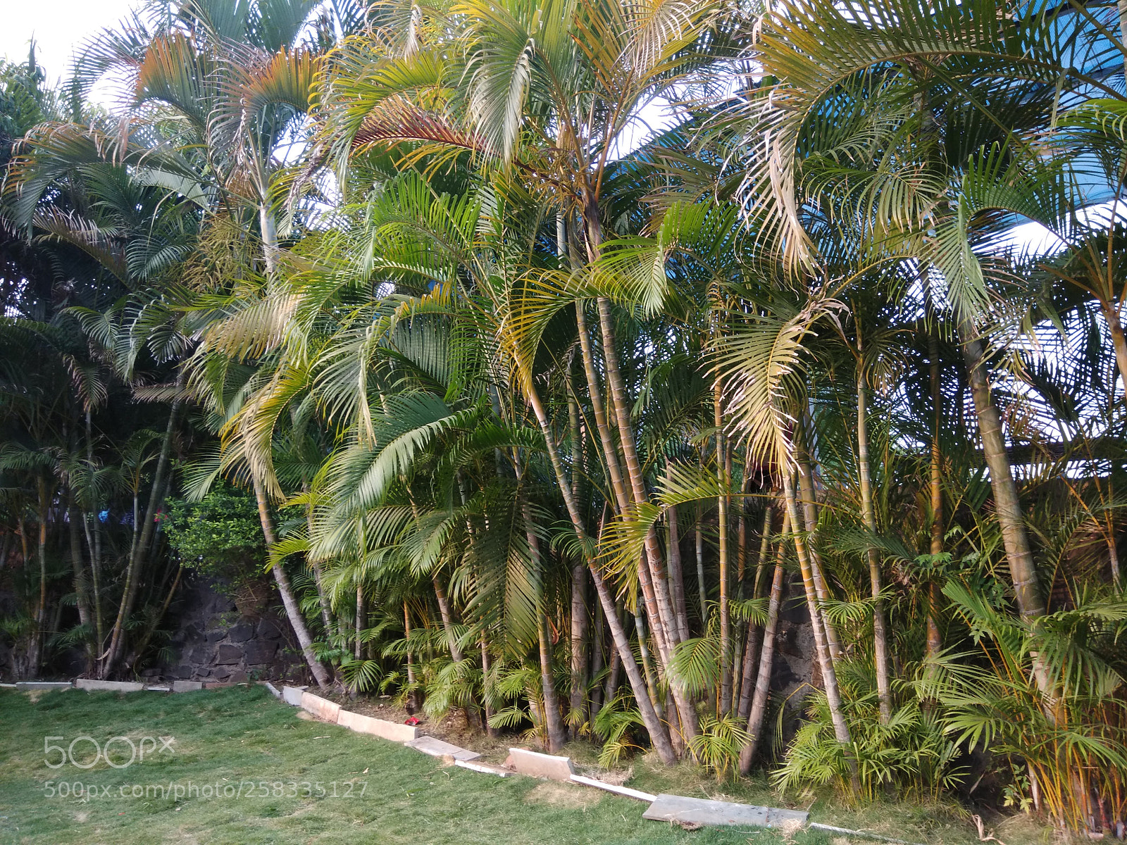 Xiaomi Redmi Note 4 sample photo. Untitled photography