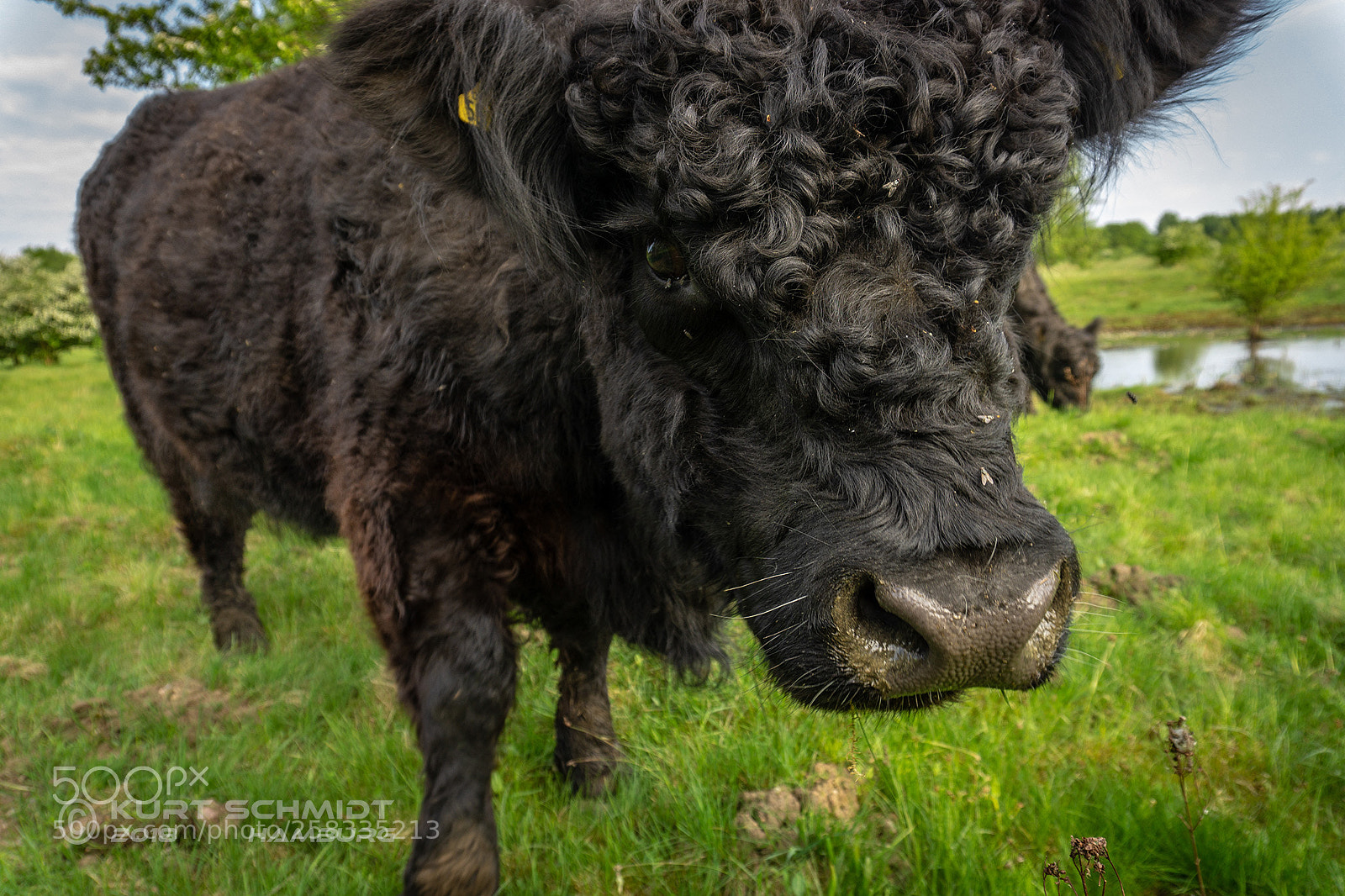 Sony a6000 sample photo. Galloway höltigbaum hamburg photography