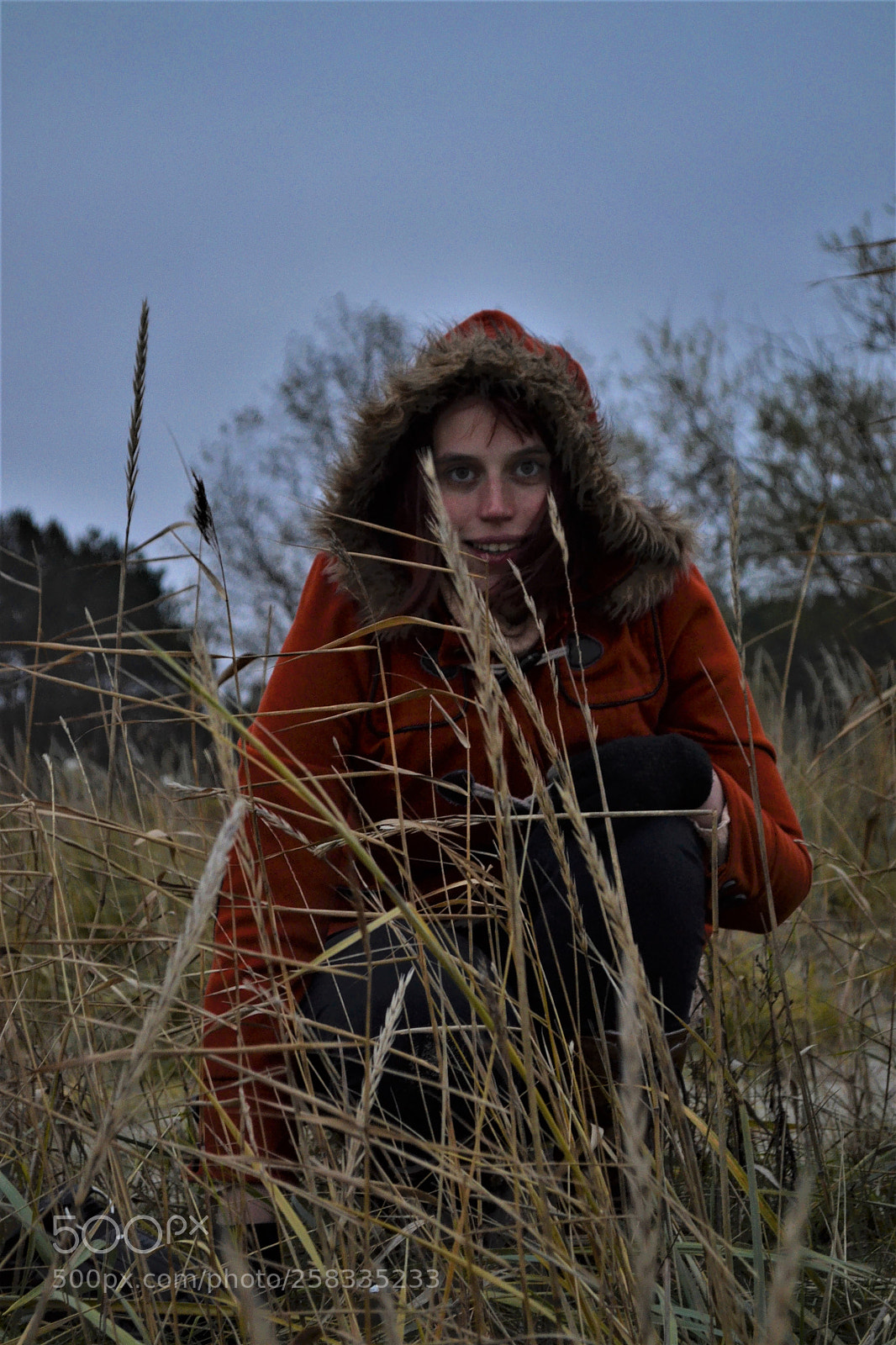 Nikon D3100 sample photo. In the rushes photography
