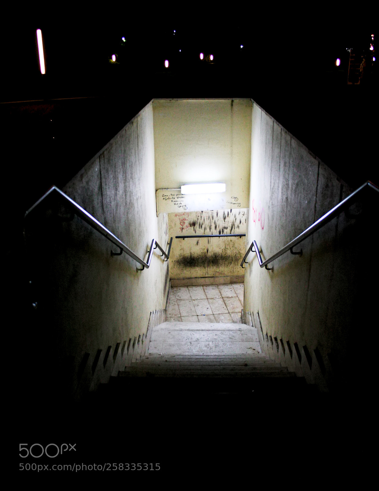 Canon EOS 350D (EOS Digital Rebel XT / EOS Kiss Digital N) sample photo. Sotto photography