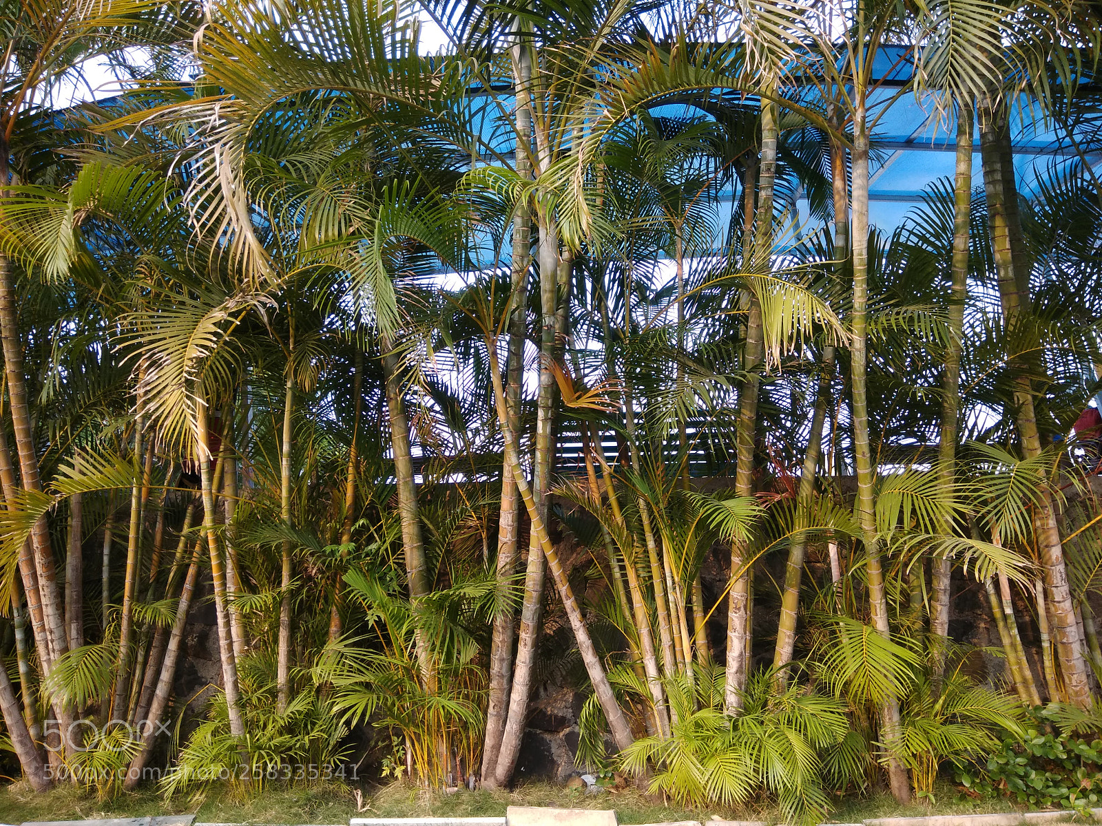 Xiaomi Redmi Note 4 sample photo. Untitled photography