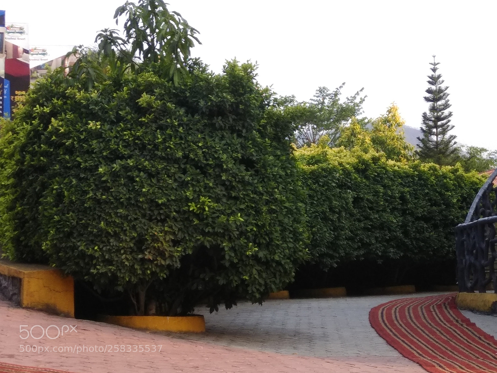 Xiaomi Redmi Note 4 sample photo. Untitled photography