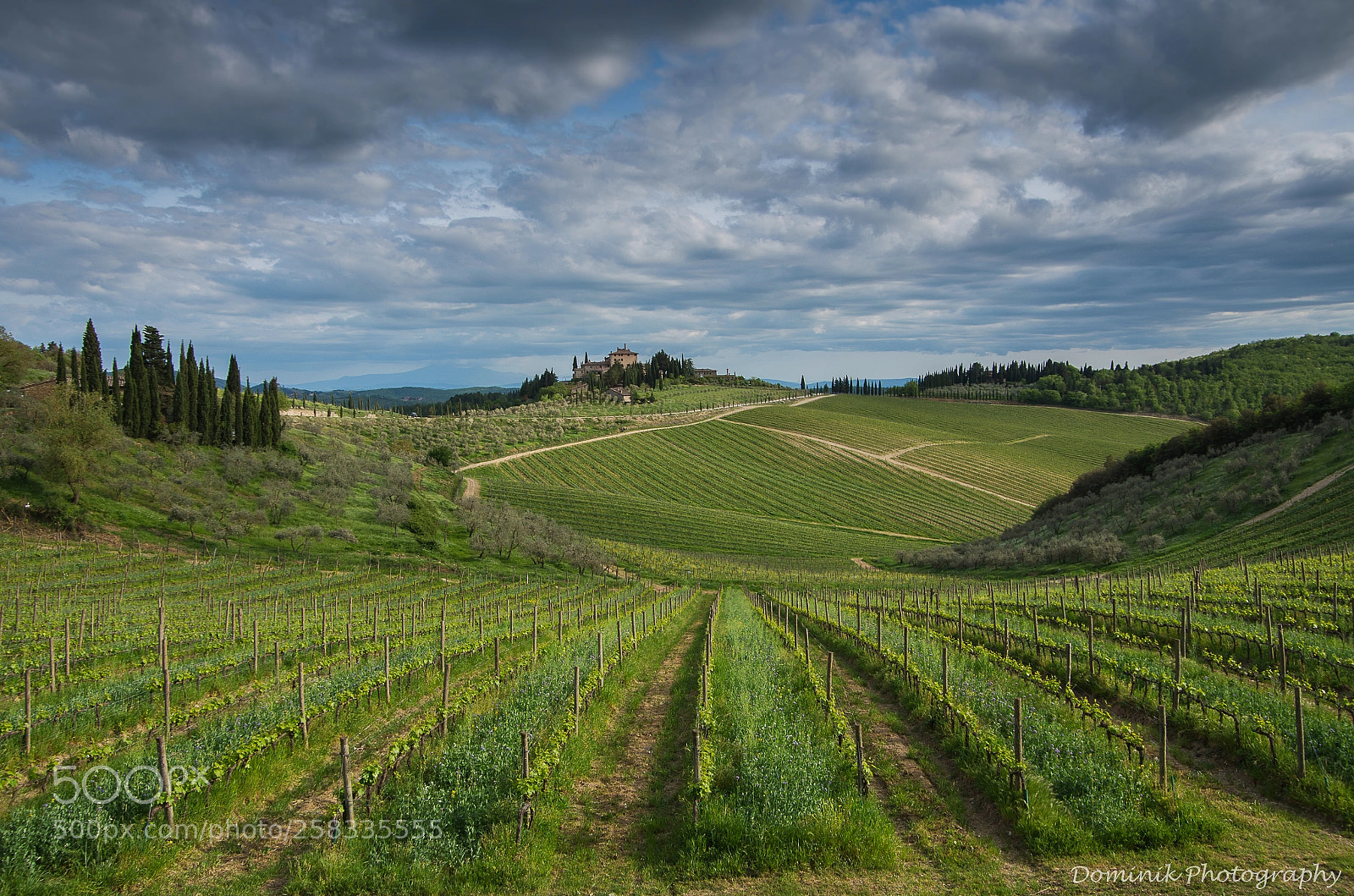 Pentax K-50 sample photo. Tuscany photography