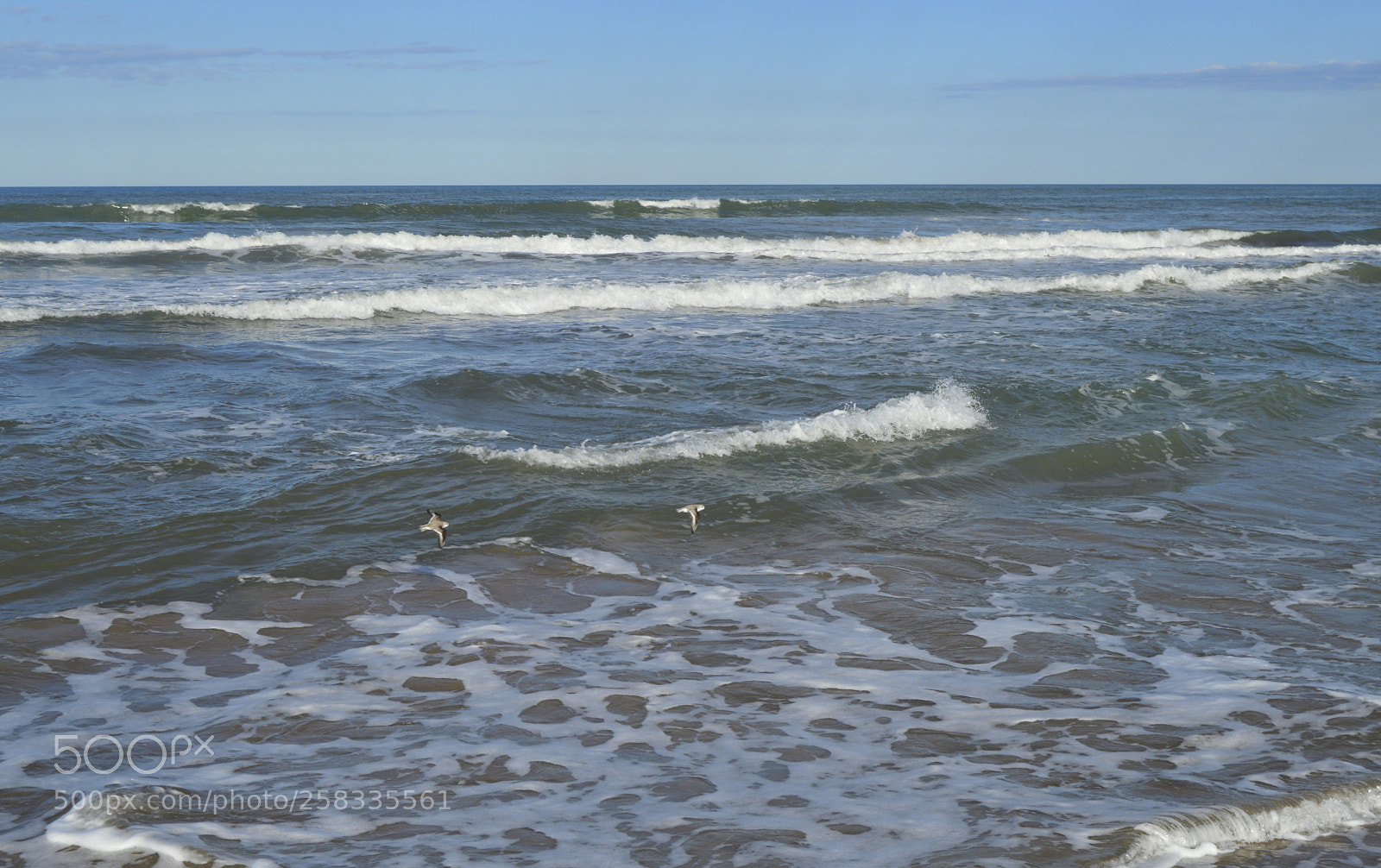 Nikon D3200 sample photo. Untitled photography