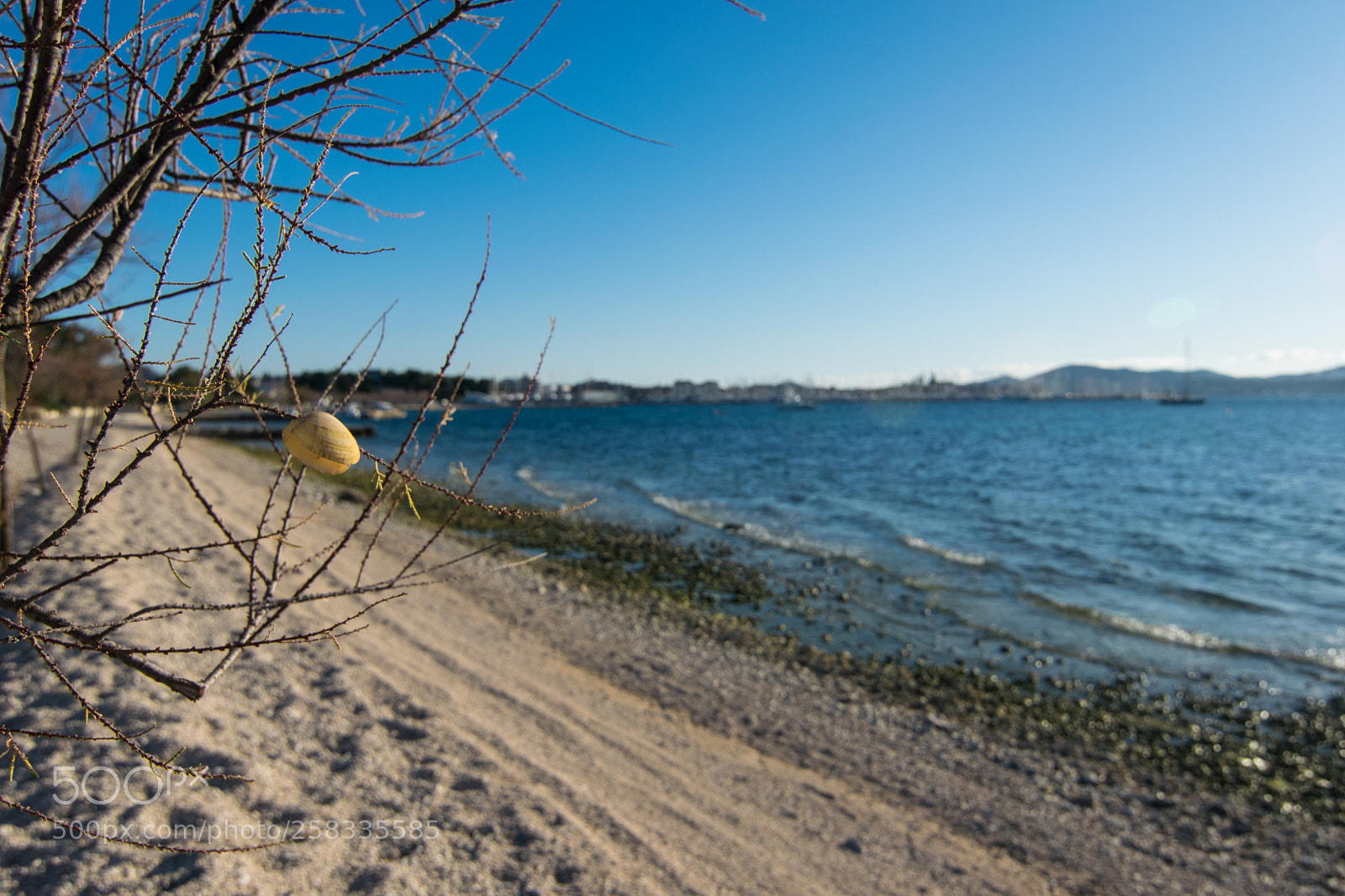 Nikon D5300 sample photo. Windy shell photography