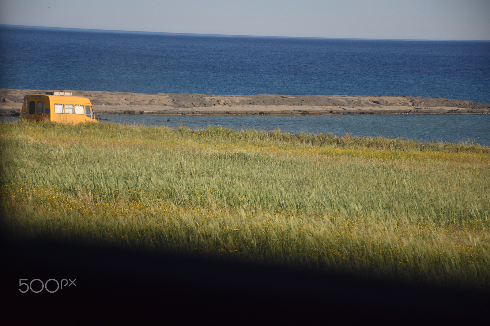 Nikon D7200 sample photo. Dsc photography