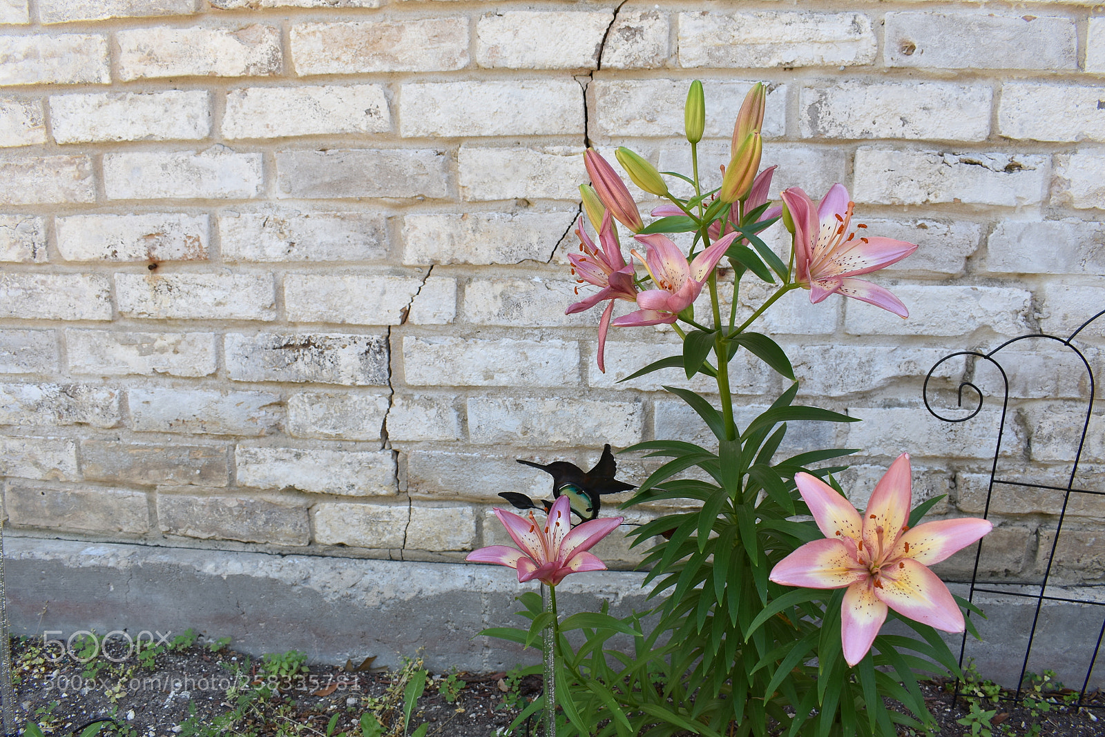 Nikon D3400 sample photo. Untitled photography