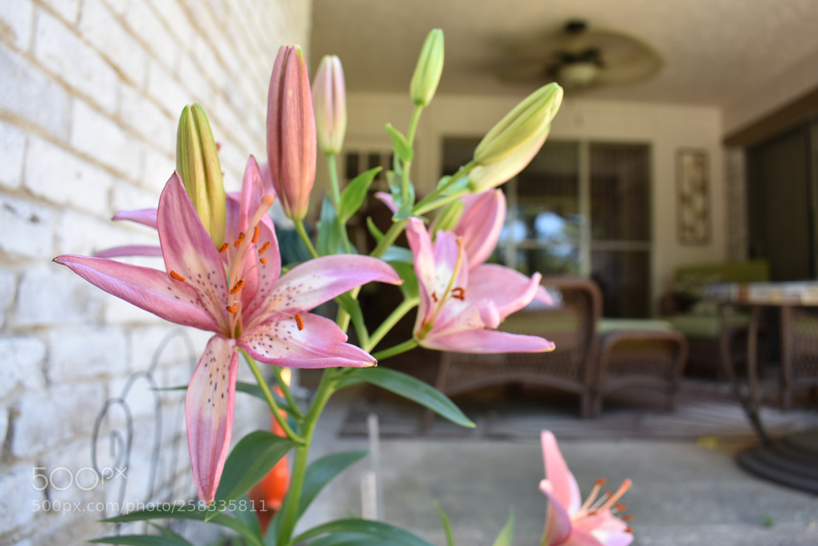 Nikon D3400 sample photo. Untitled photography