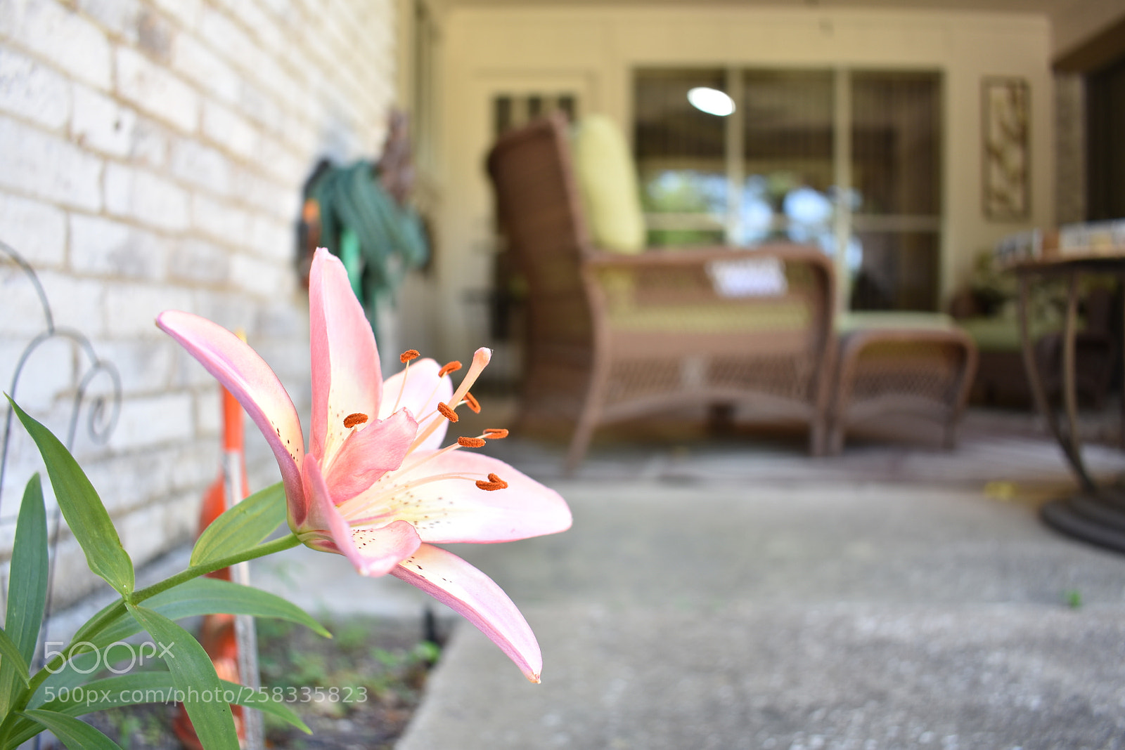 Nikon D3400 sample photo. Untitled photography