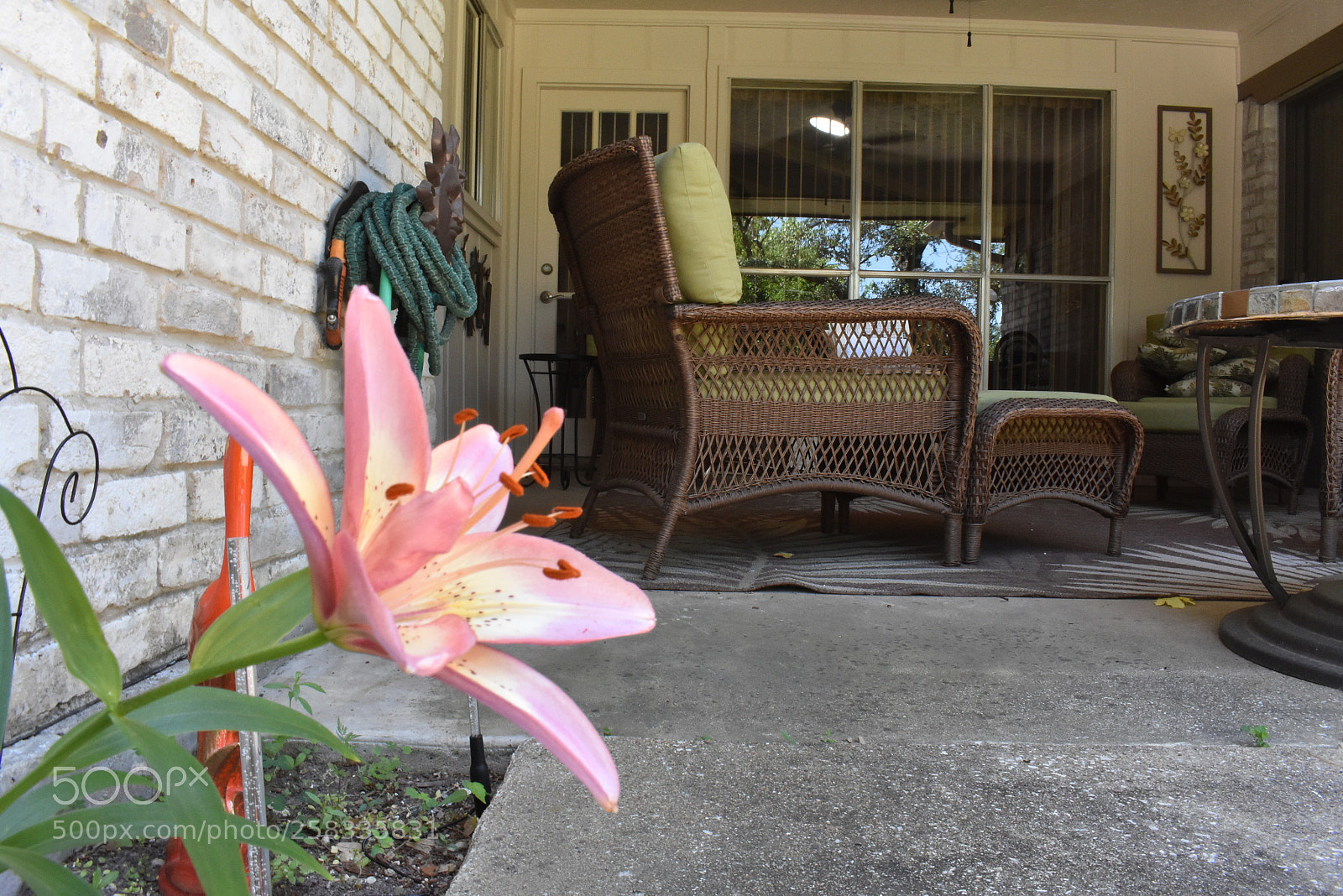 Nikon D3400 sample photo. Untitled photography