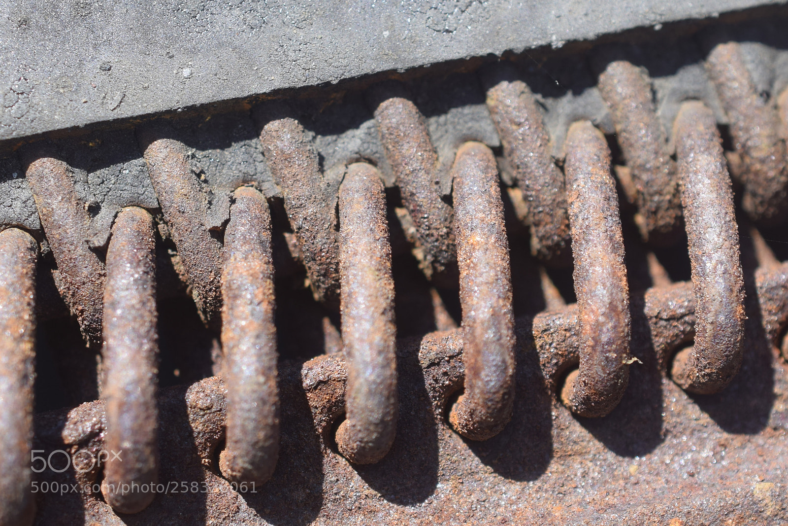 Nikon D3300 sample photo. Zipper photography