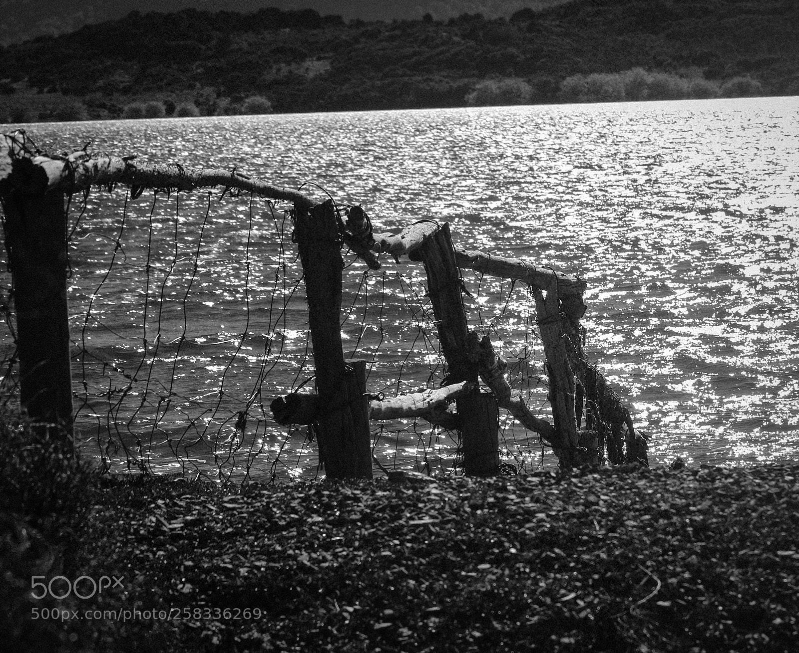 Canon EOS 7D Mark II sample photo. Fence decay photography