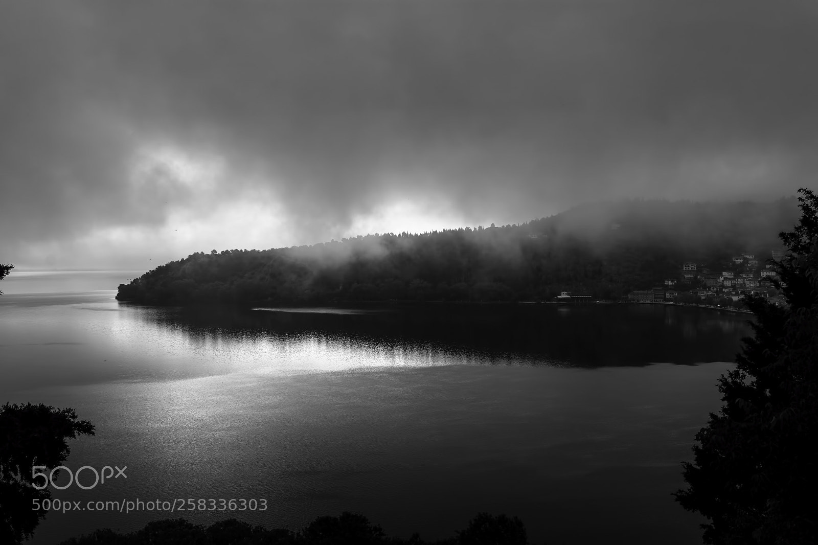 Nikon D7200 sample photo. Foggy mystic morning photography
