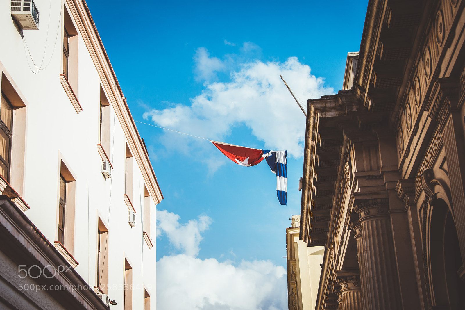 Nikon D7200 sample photo. My oppressed flag photography