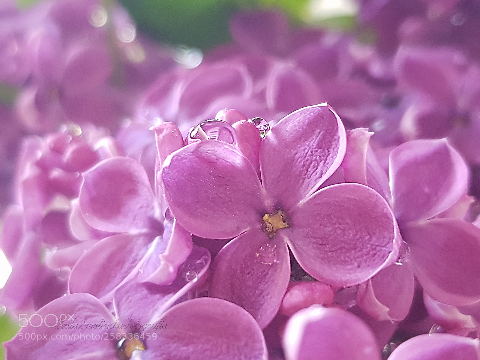 Samsung Galaxy S8 sample photo. Untitled photography