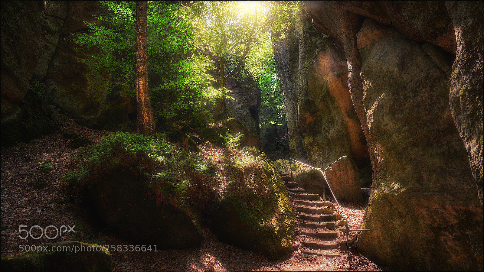 Fujifilm X-T1 sample photo. Among the rocks iii photography