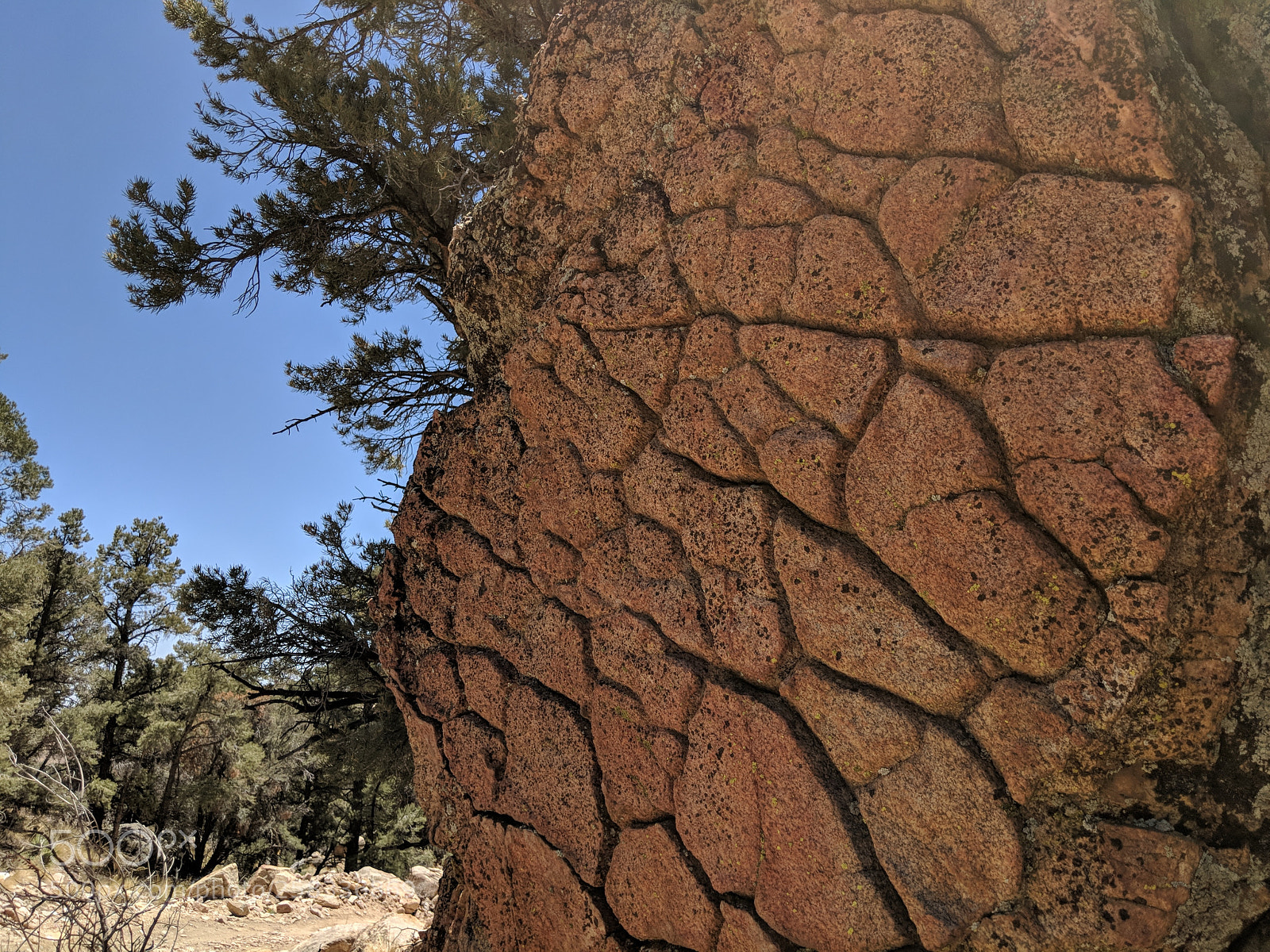 Google Pixel 2 XL sample photo. Untitled photography