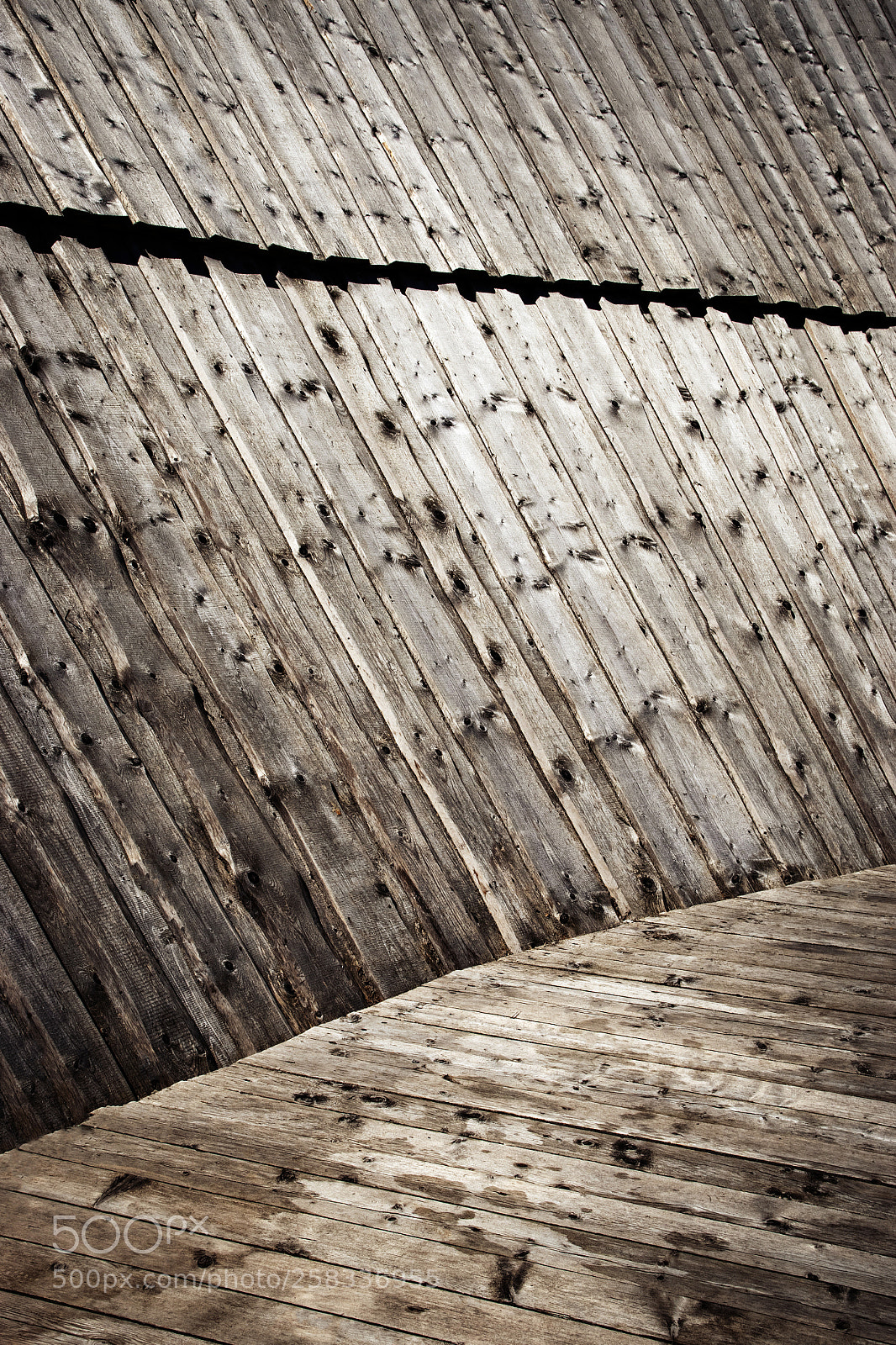 Nikon D5500 sample photo. Abstract wooden plate lining photography
