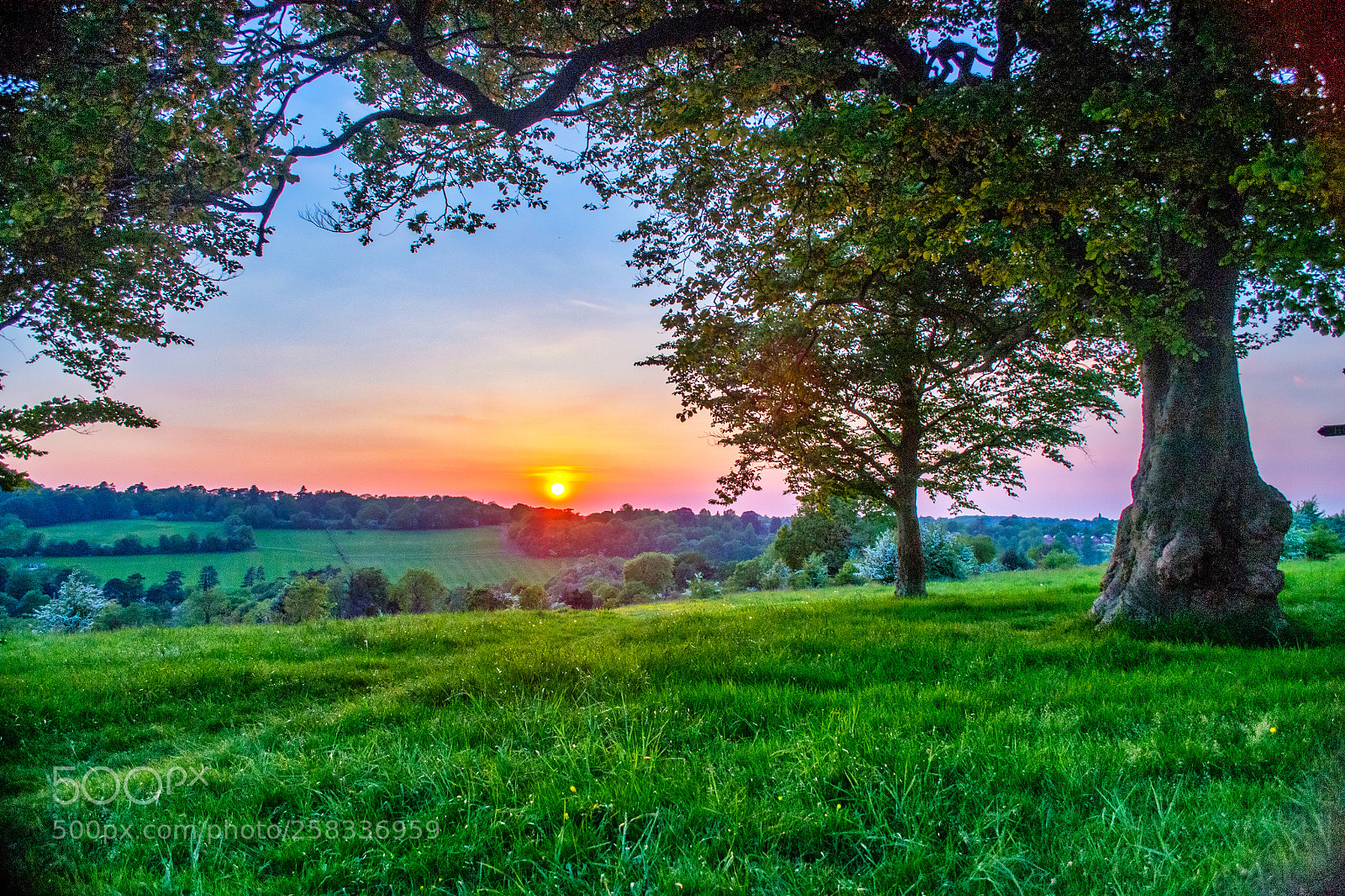 Nikon D3100 sample photo. Sunset over farthing downs photography