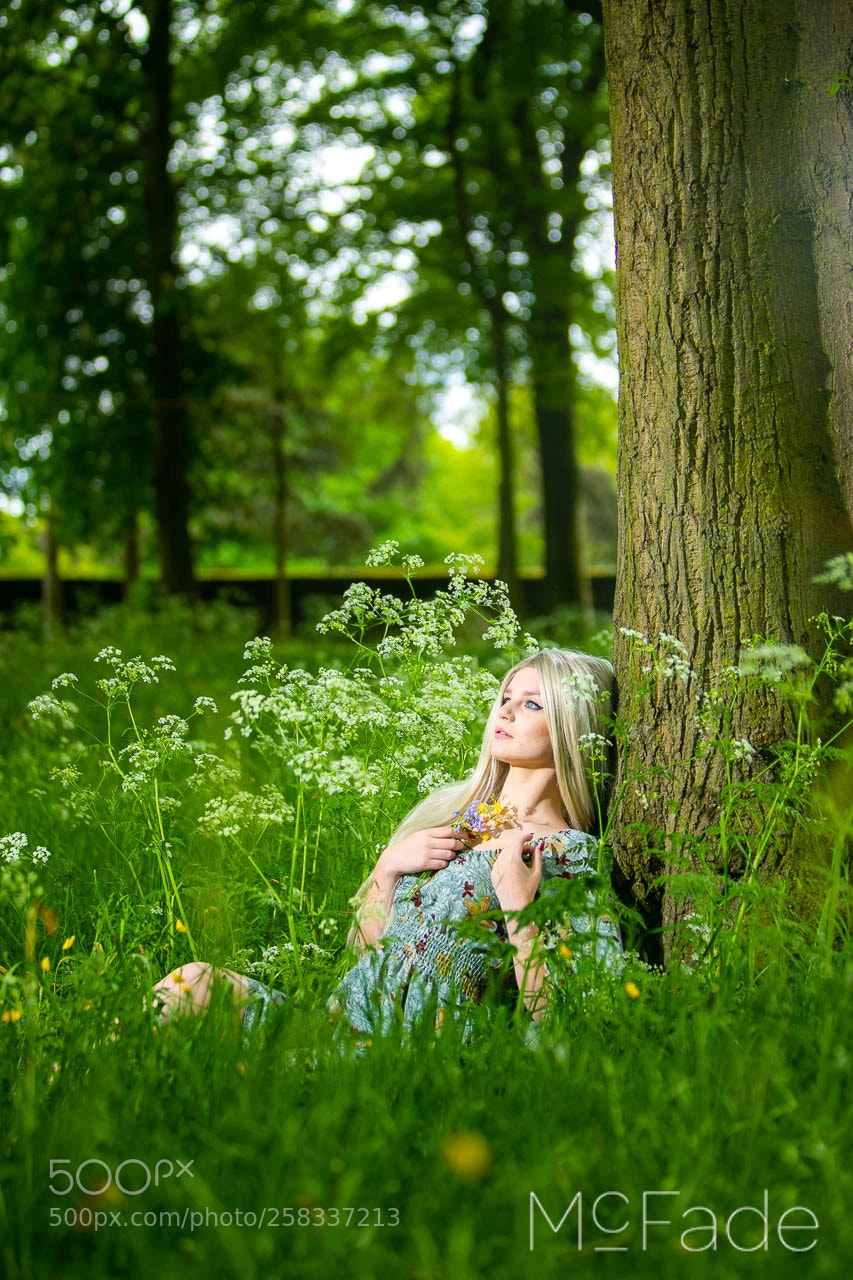 Canon EOS 5D Mark IV sample photo. Cow parsley - 054 photography