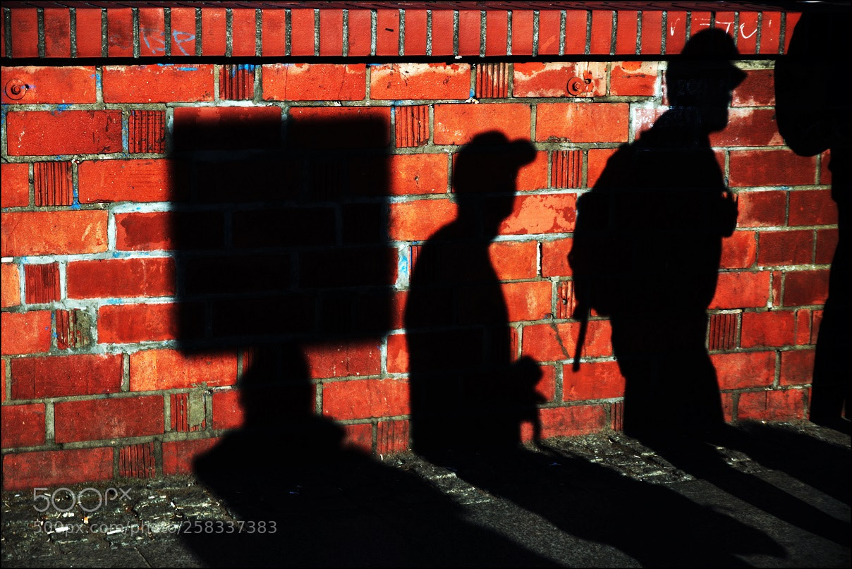 Canon EOS 7D Mark II sample photo. Untitled photography