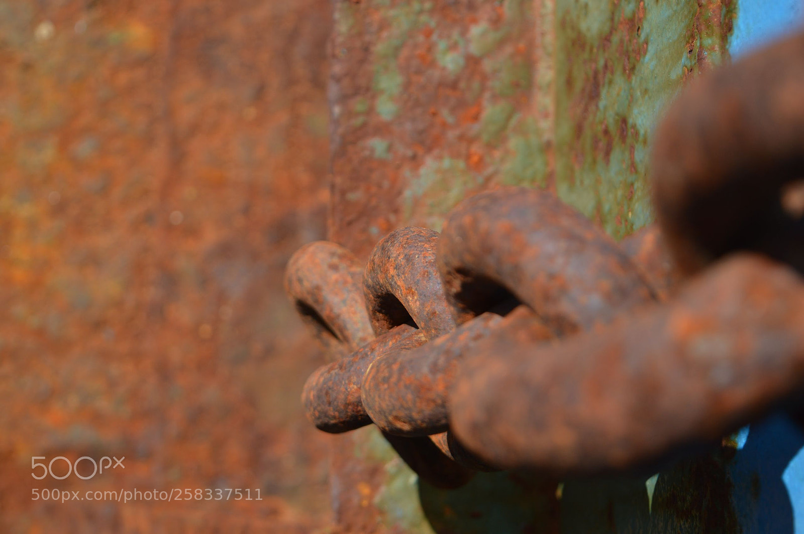 Nikon D3200 sample photo. Old and tired photography