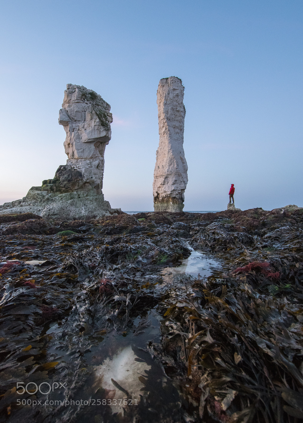 Nikon D500 sample photo. Old harry rocks at photography