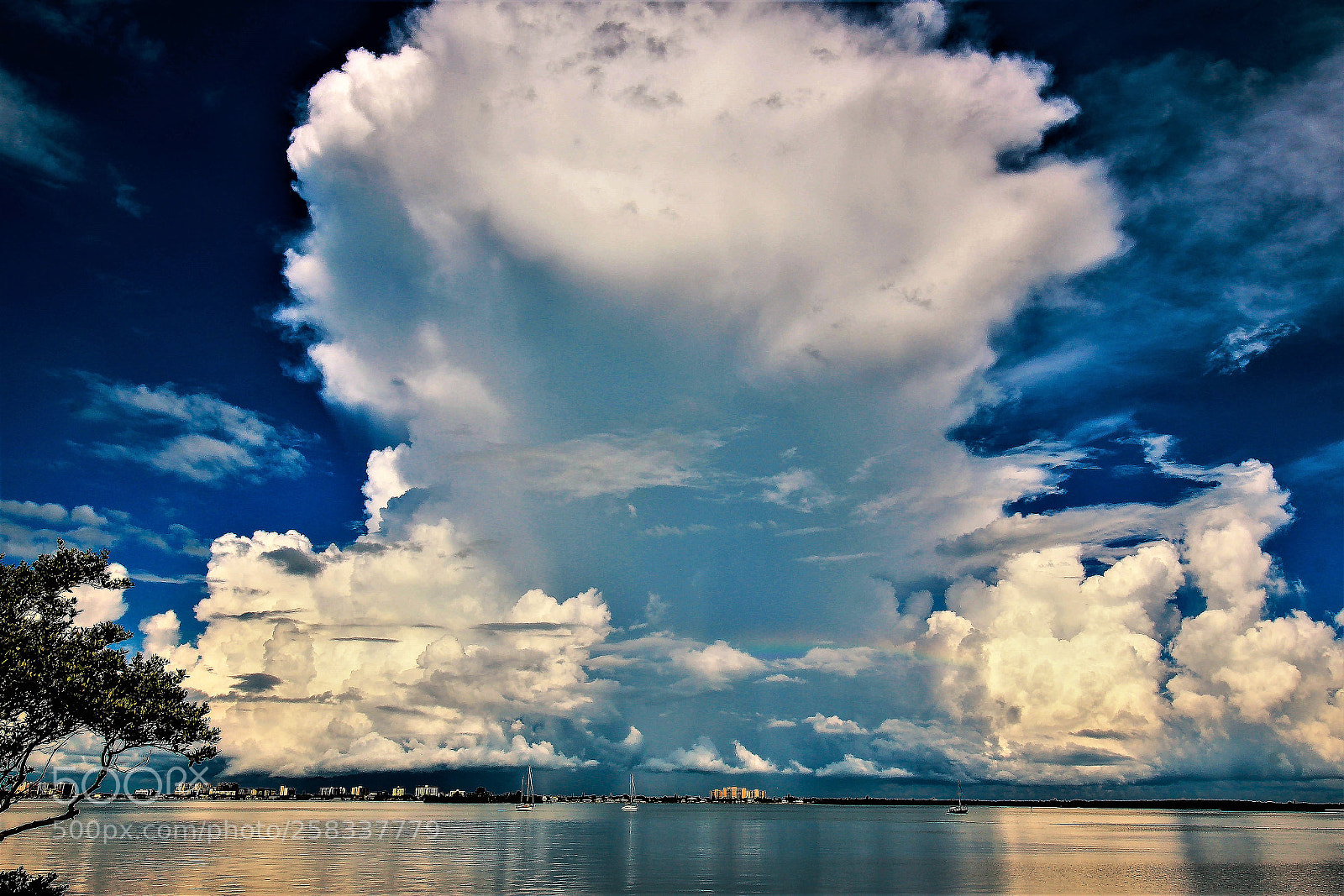 Canon EOS 600D (Rebel EOS T3i / EOS Kiss X5) sample photo. Clearwater marina mushroom photography