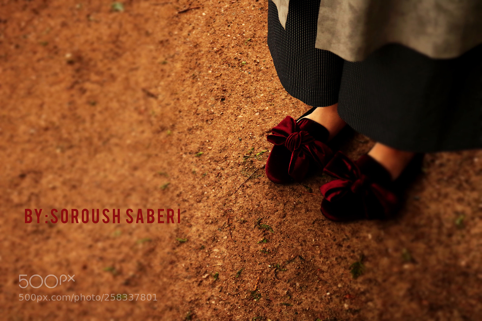 Canon EOS 750D (EOS Rebel T6i / EOS Kiss X8i) sample photo. Red like red shoes photography