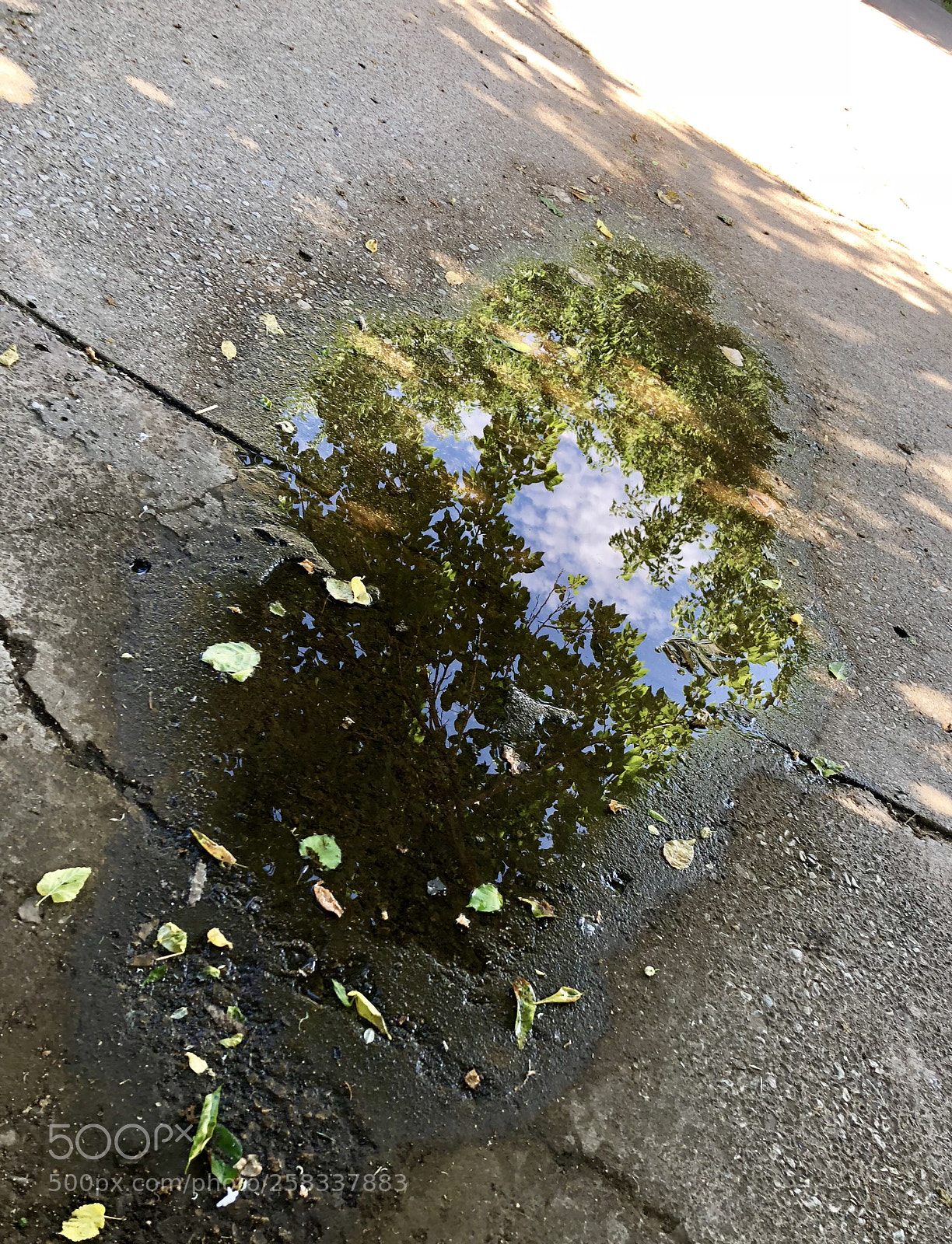 Apple iPhone X sample photo. Puddle cloudscape photography